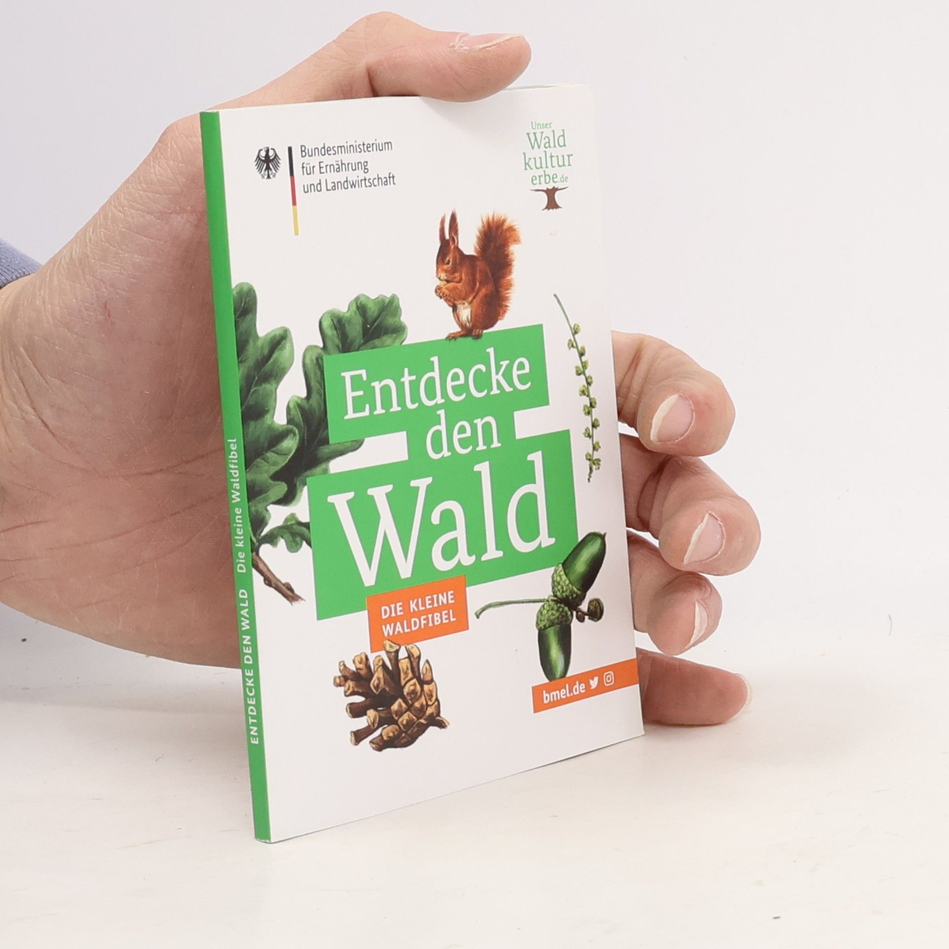 Autores varios Entdecke den Wald