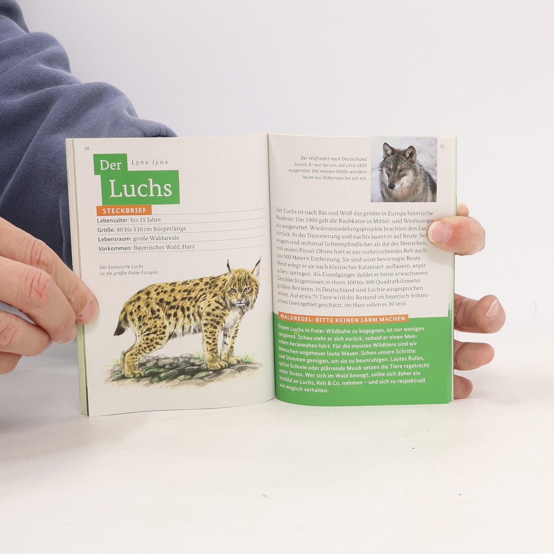 Autores varios Entdecke den Wald