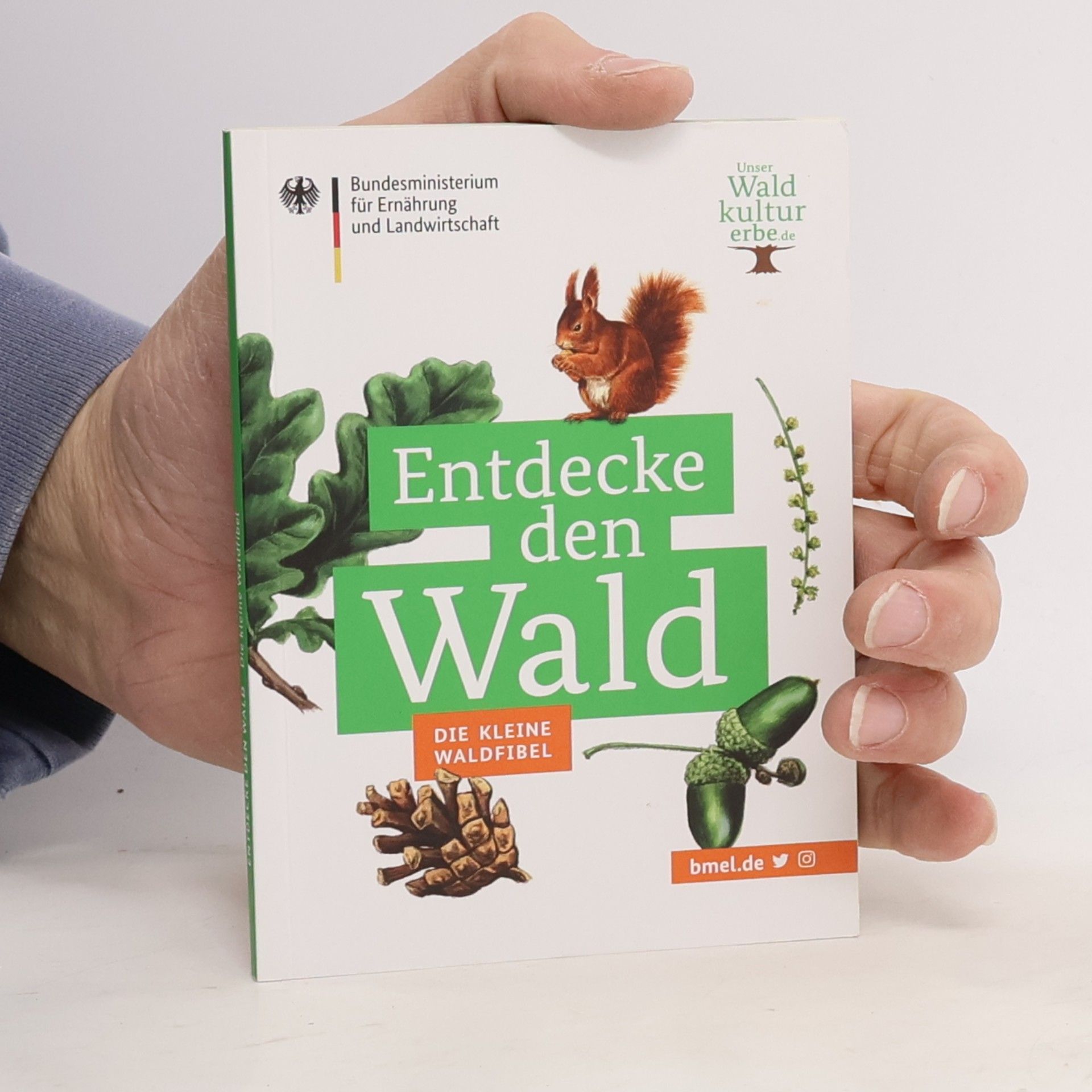 Autores varios Entdecke den Wald