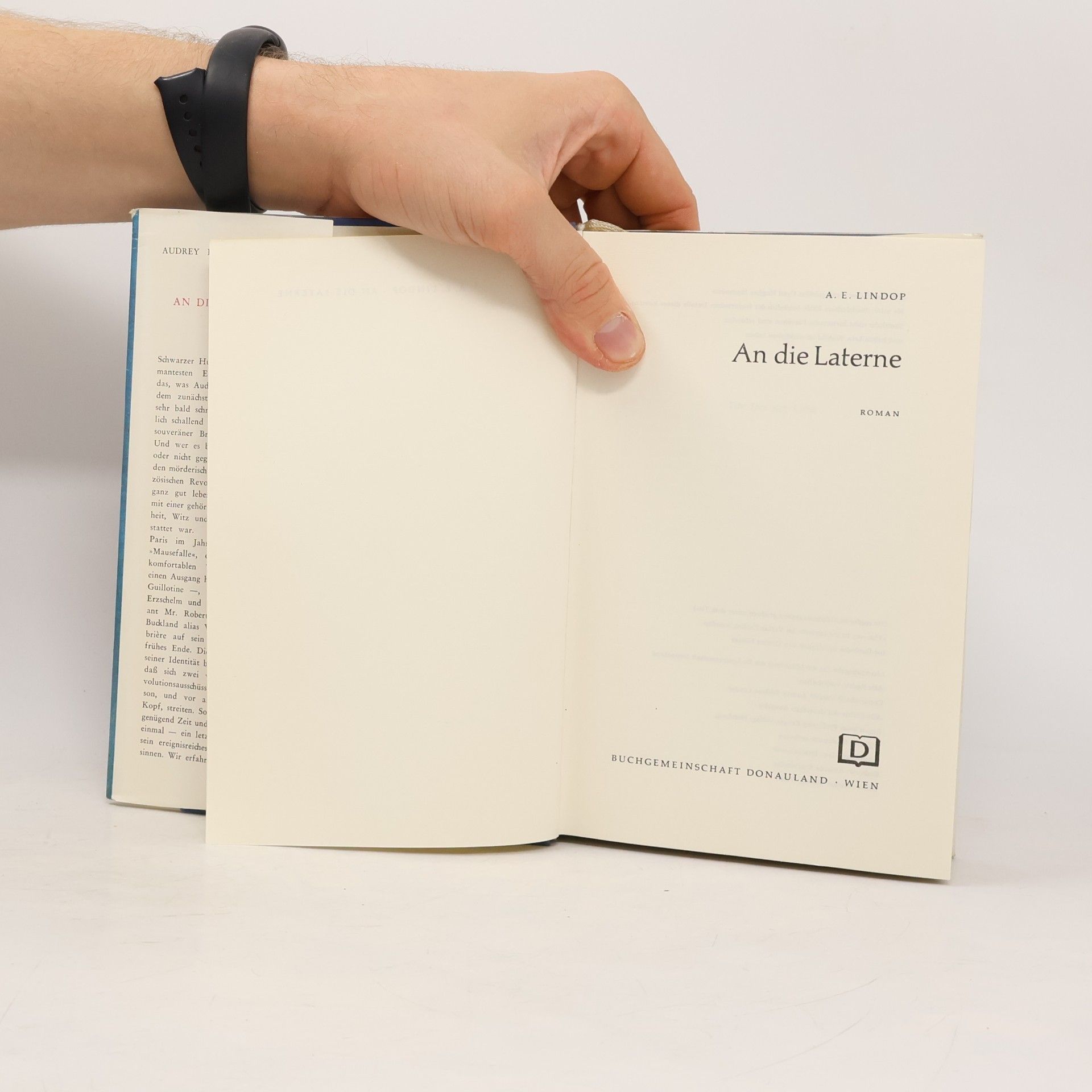 A. E. Lindop An die Laterne