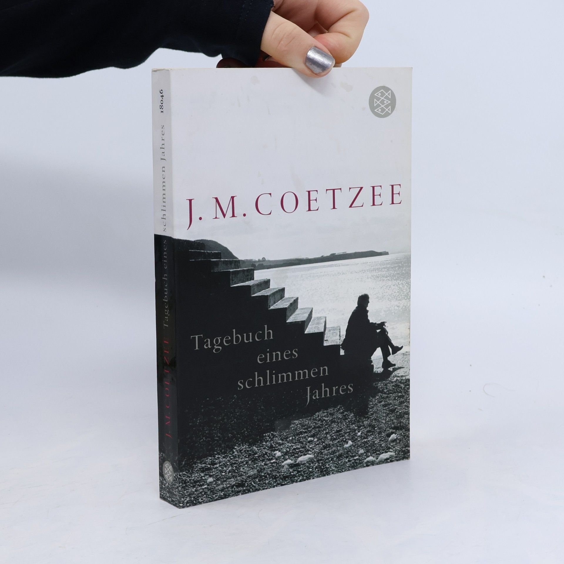 J. M. Coetzee Tagebuch eines schlimmen Jahres