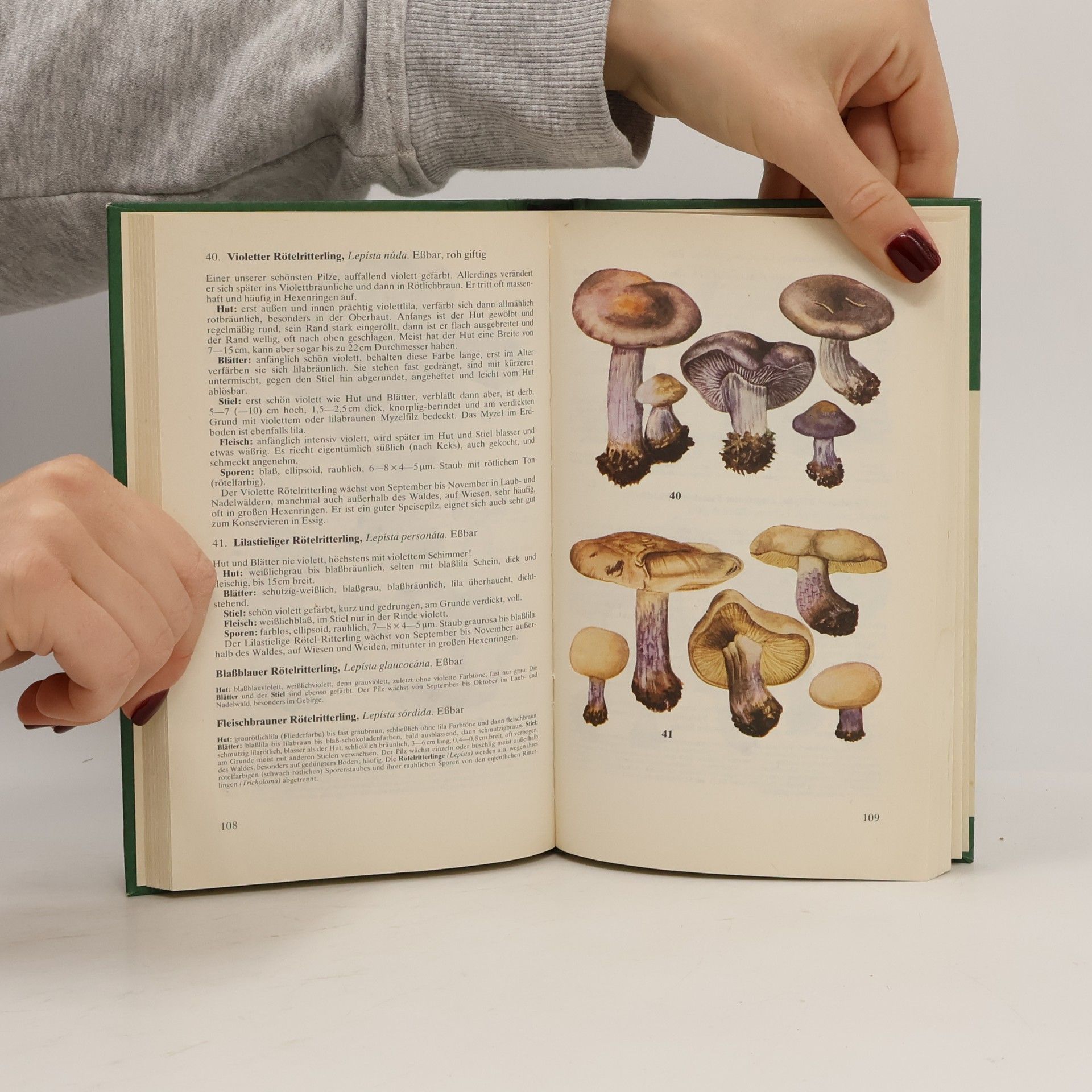 Hanns Kreisel Taschenbuch für Pilzfreunde