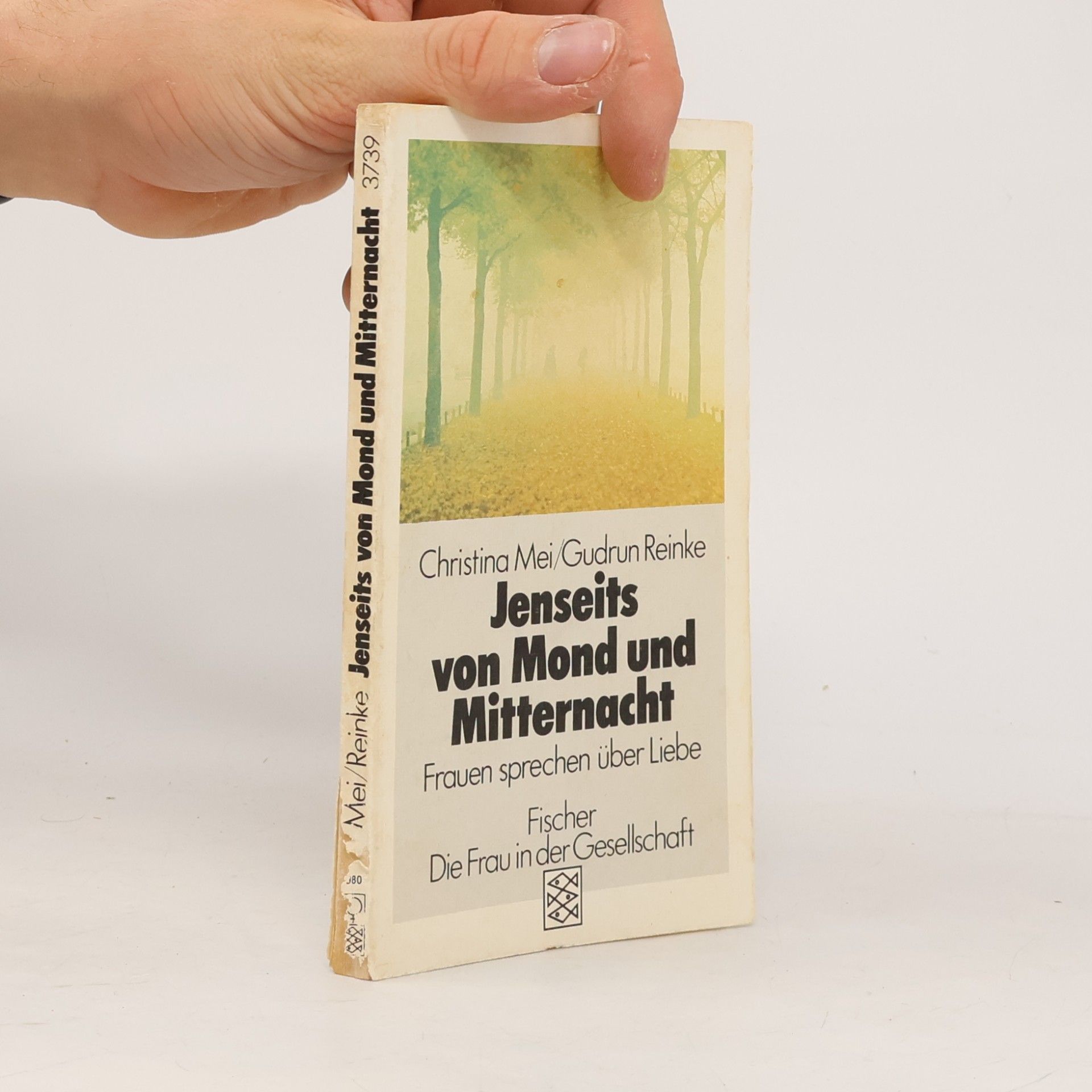 Christina Mei Jenseits von Mond und Mitternacht