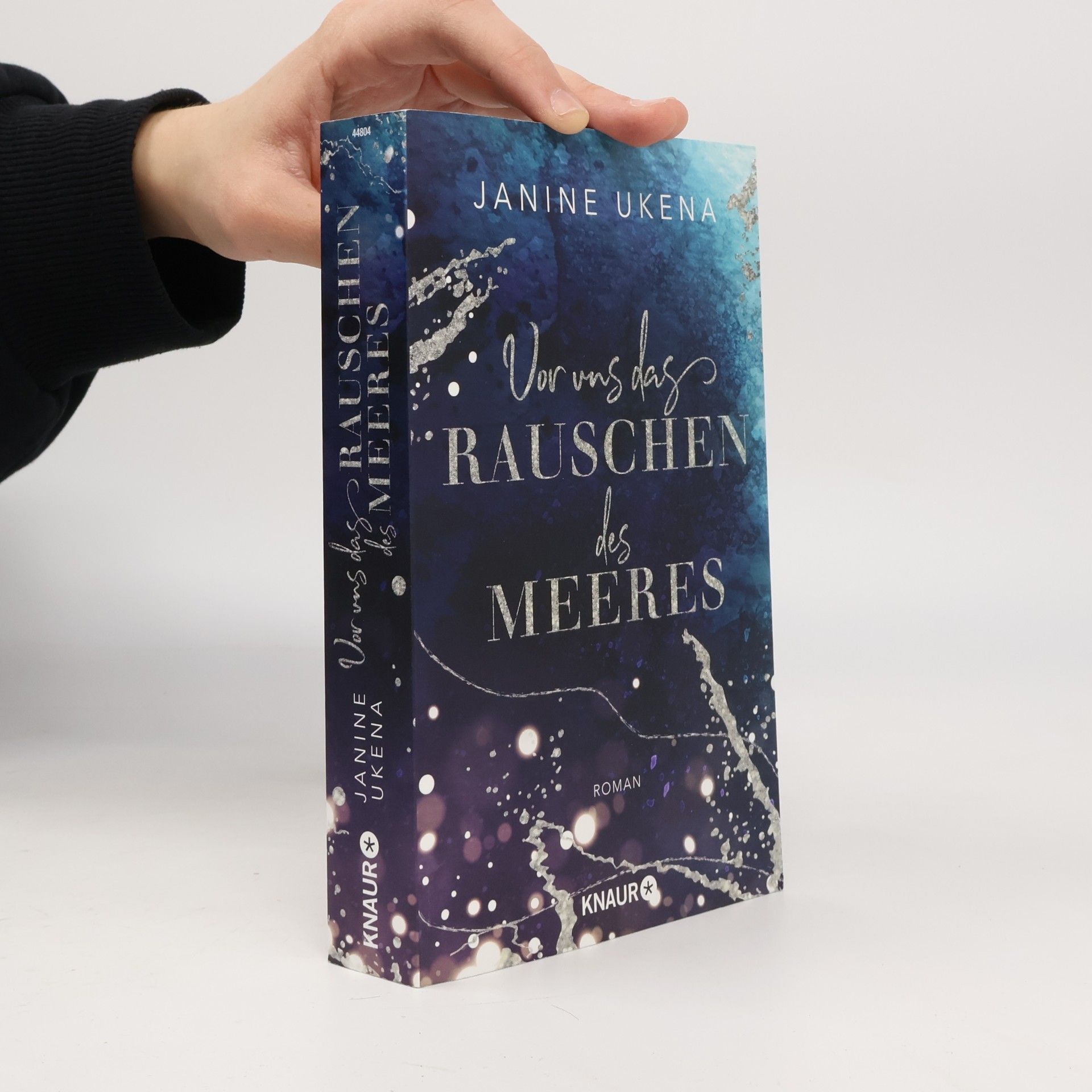 Vor uns das Rauschen des Meeres