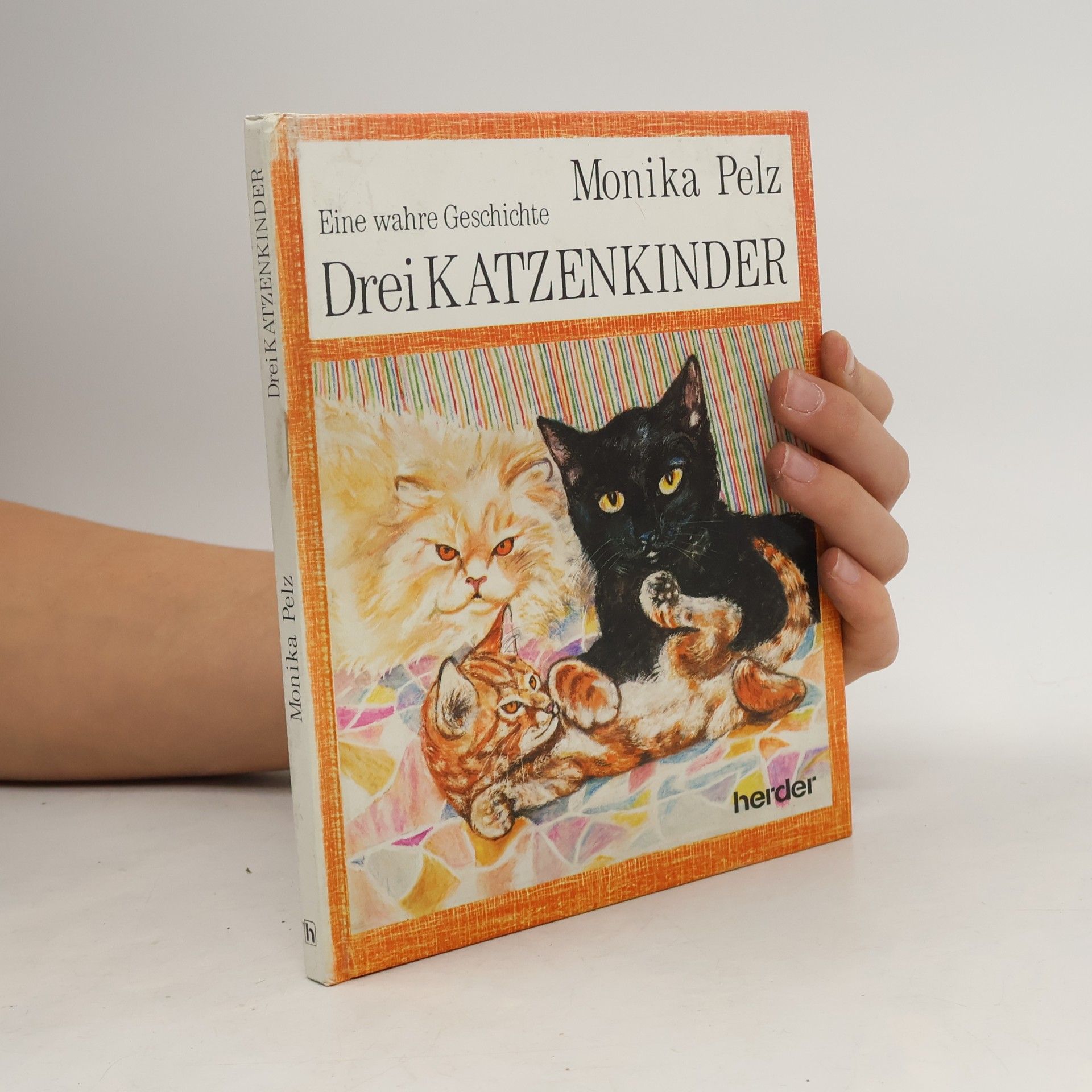 Drei Katzenkinder