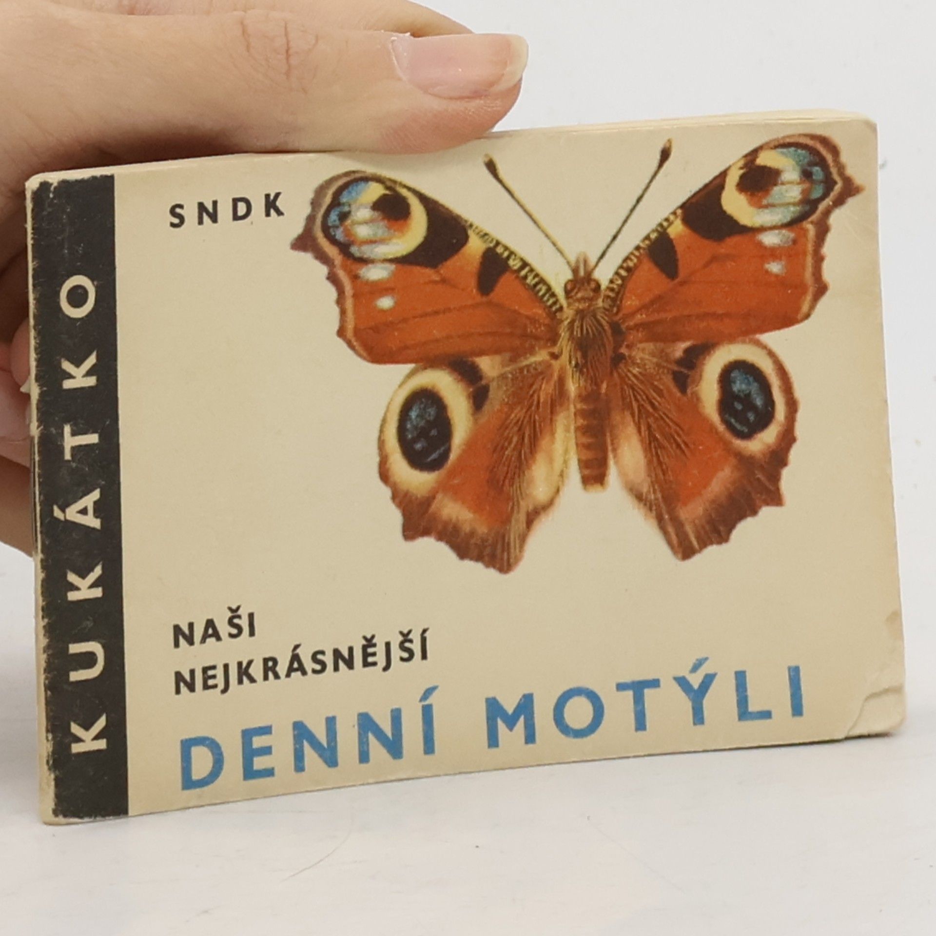 Naši nejkrásnější denní motýli