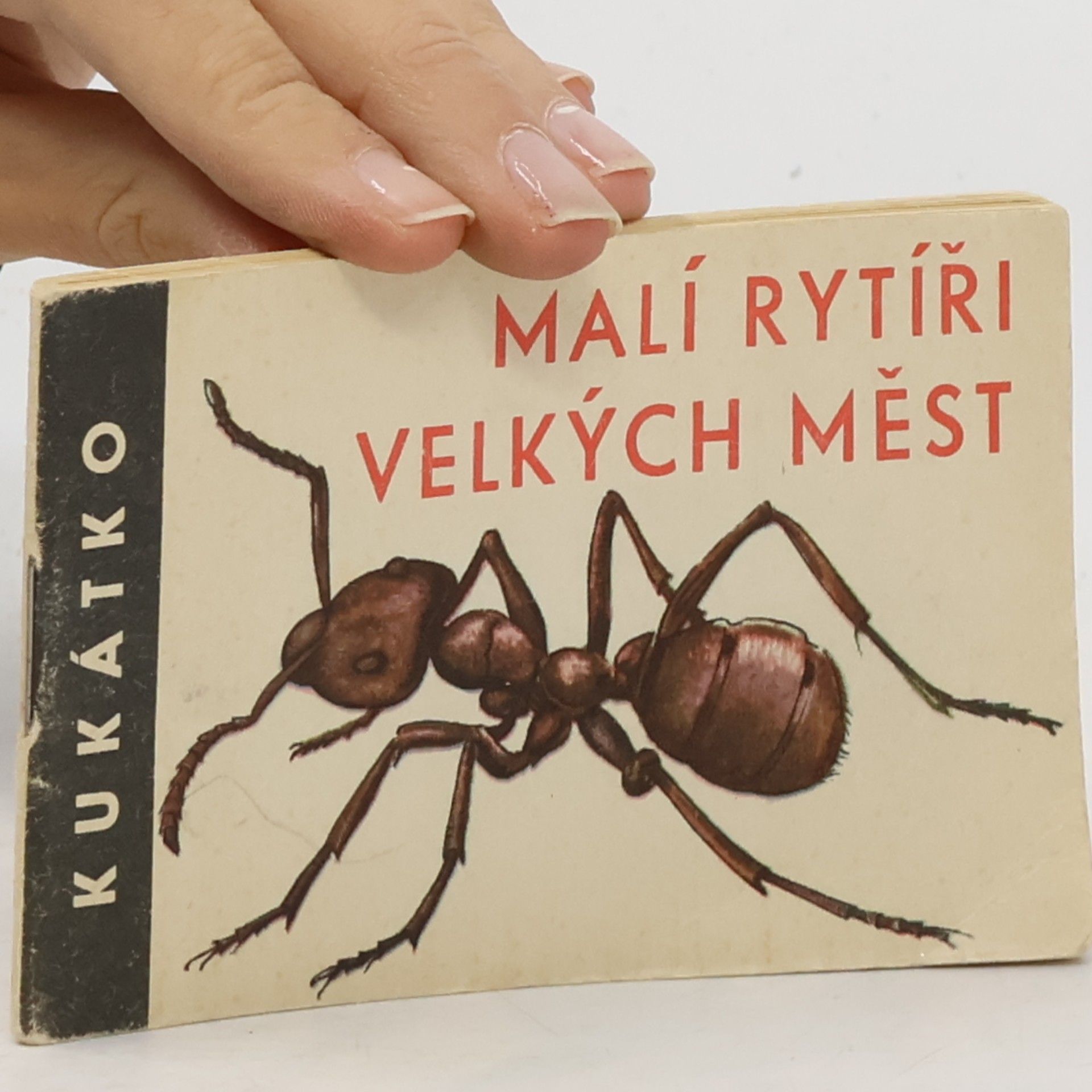 Malí rytíři velkých měst