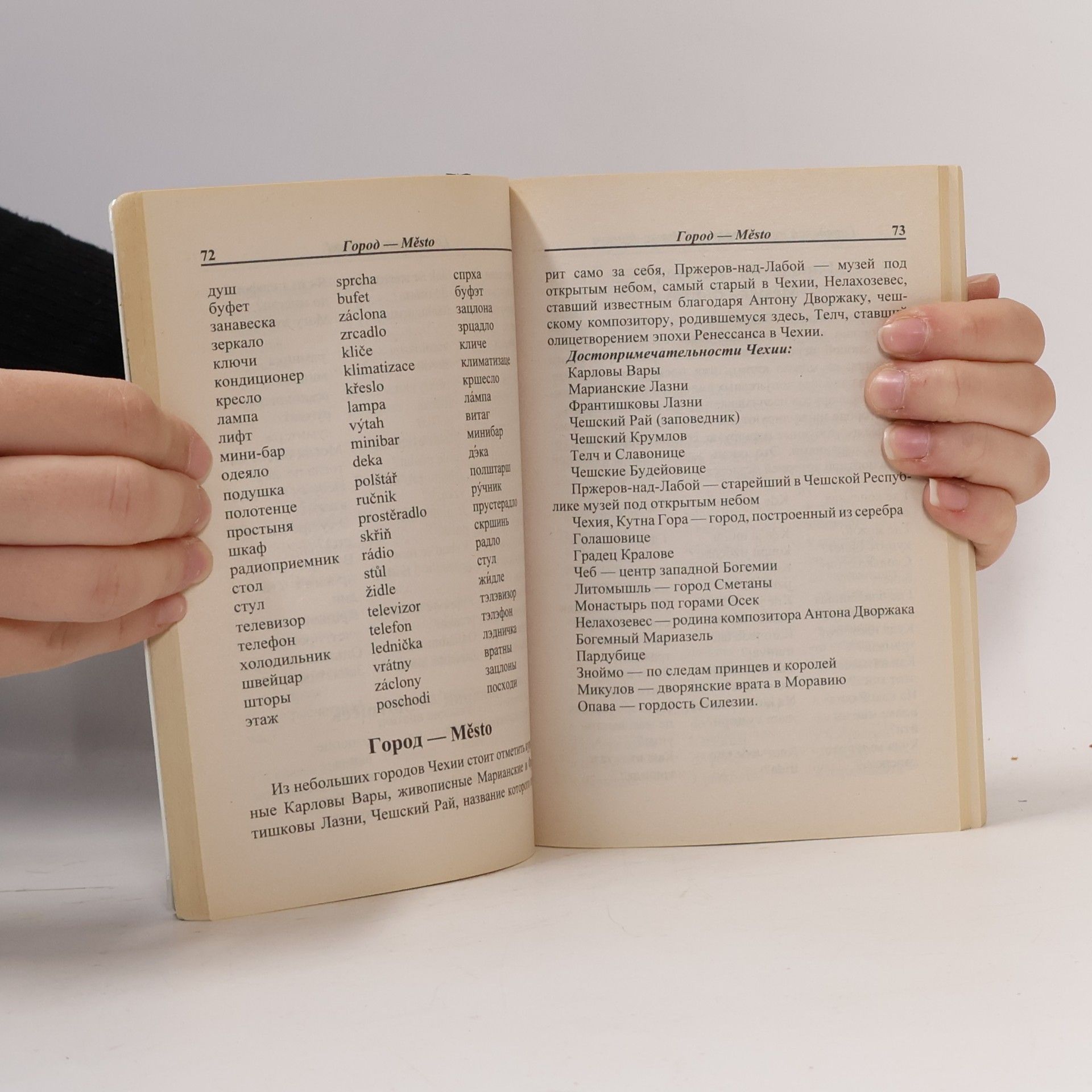 Kolektiv autorů Русско-чешский разговорник. Russko-cheshskiy razgovornik
