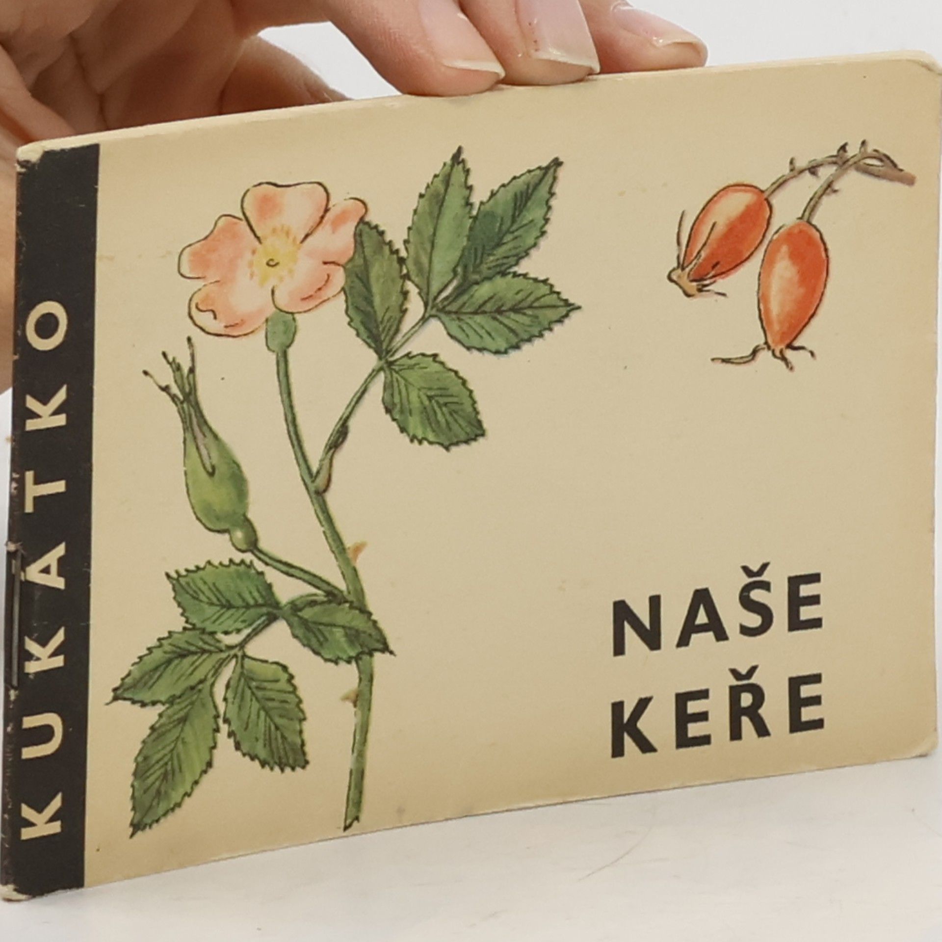 Naše keře