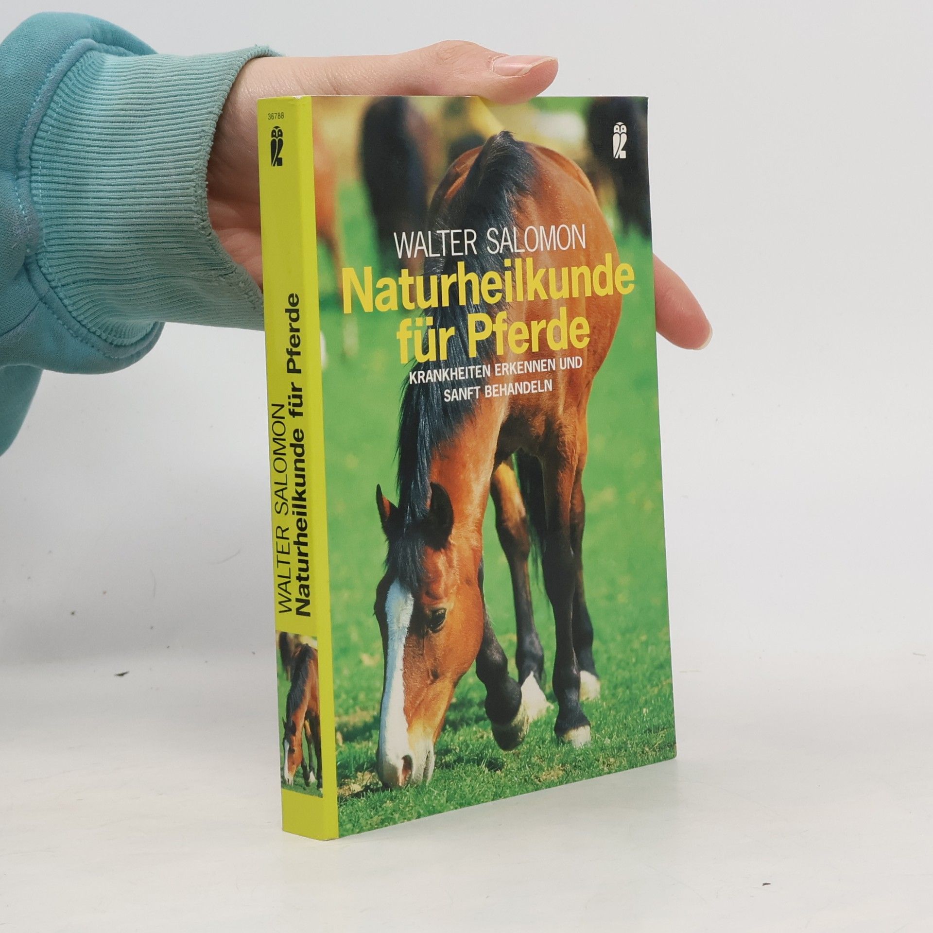Naturheilkunde für Pferde