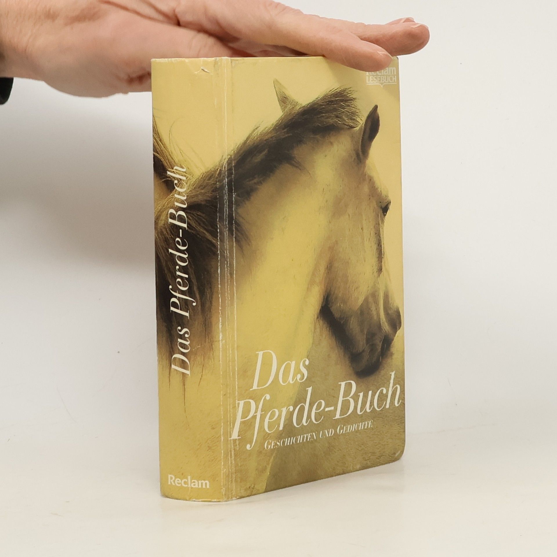 Das Pferde-Buch