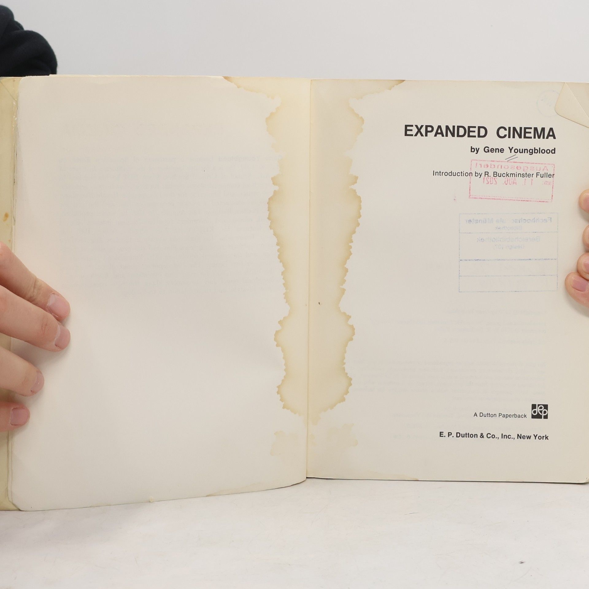 Gene Youngblood Expanded Cinema