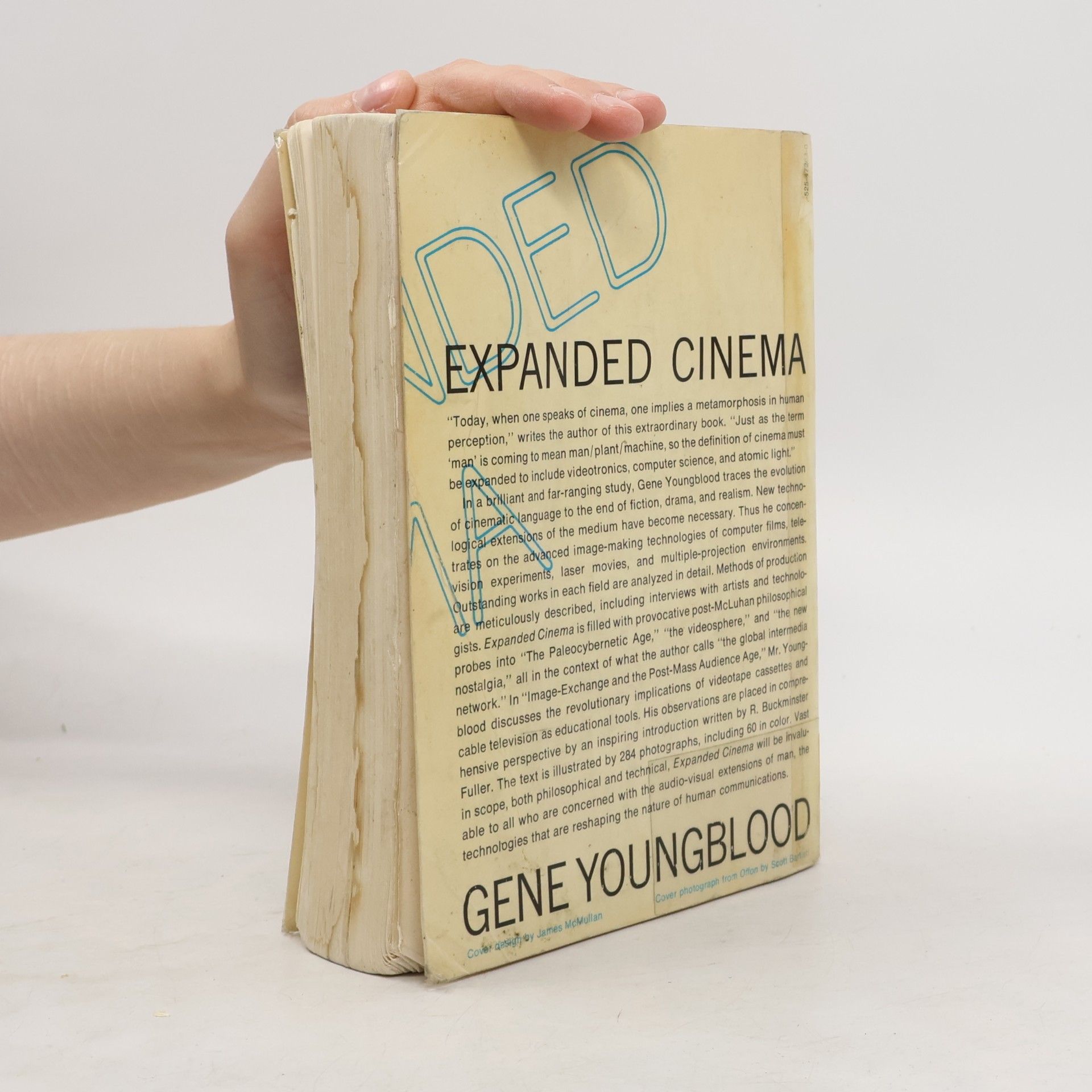 Gene Youngblood Expanded Cinema