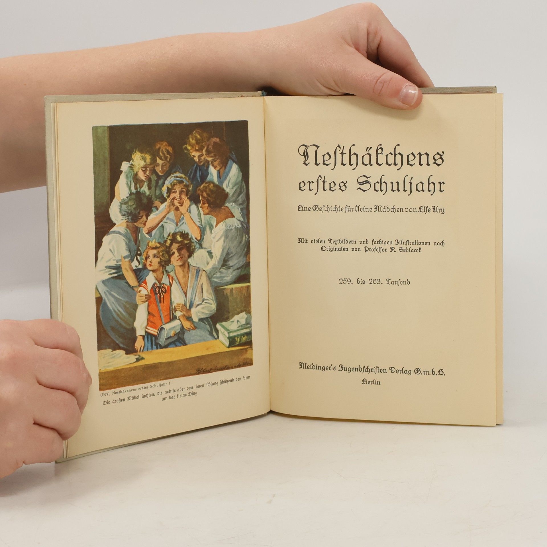 Else Ury Nesthäkchen kommt in die Schule