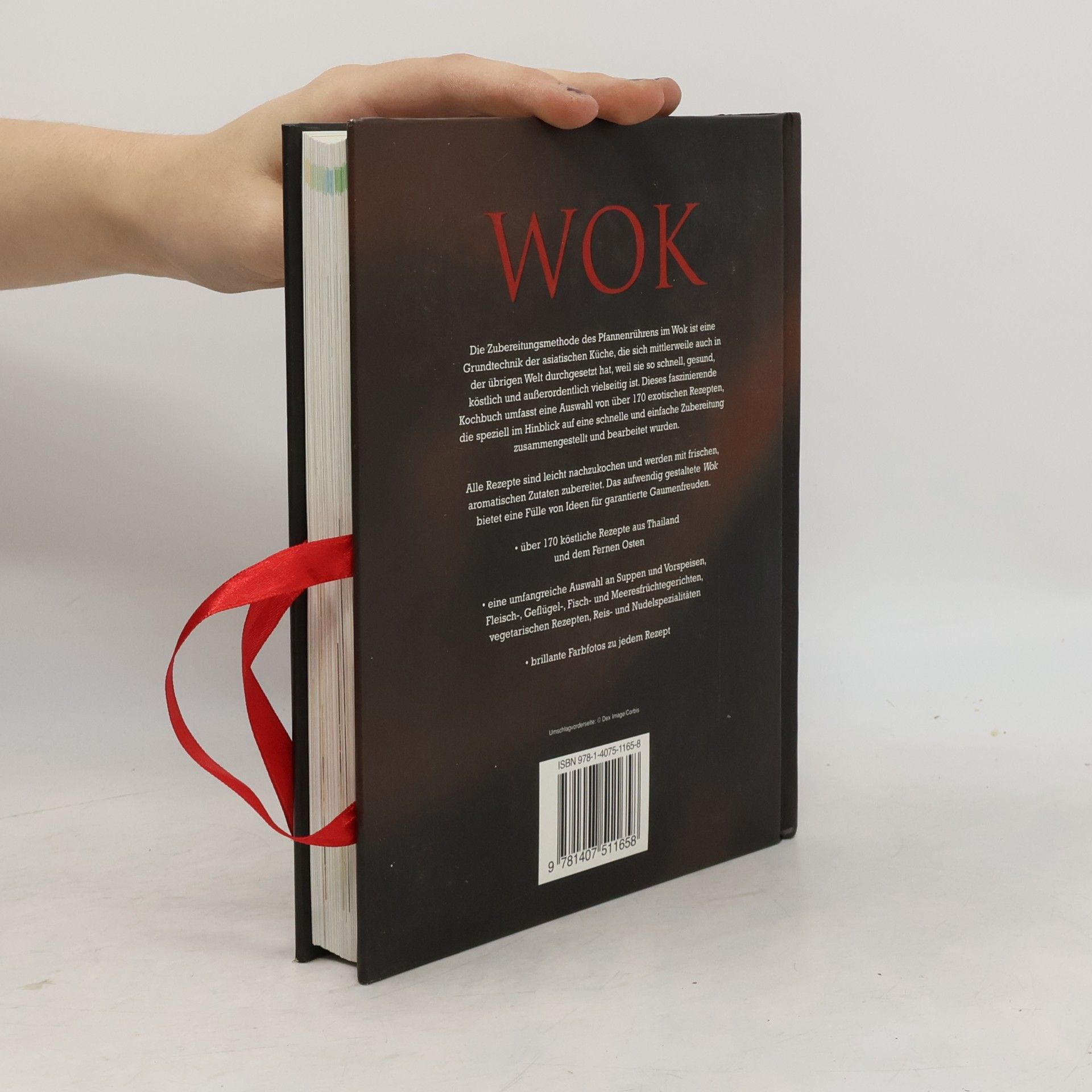 Ralph Henry Fischer Wok