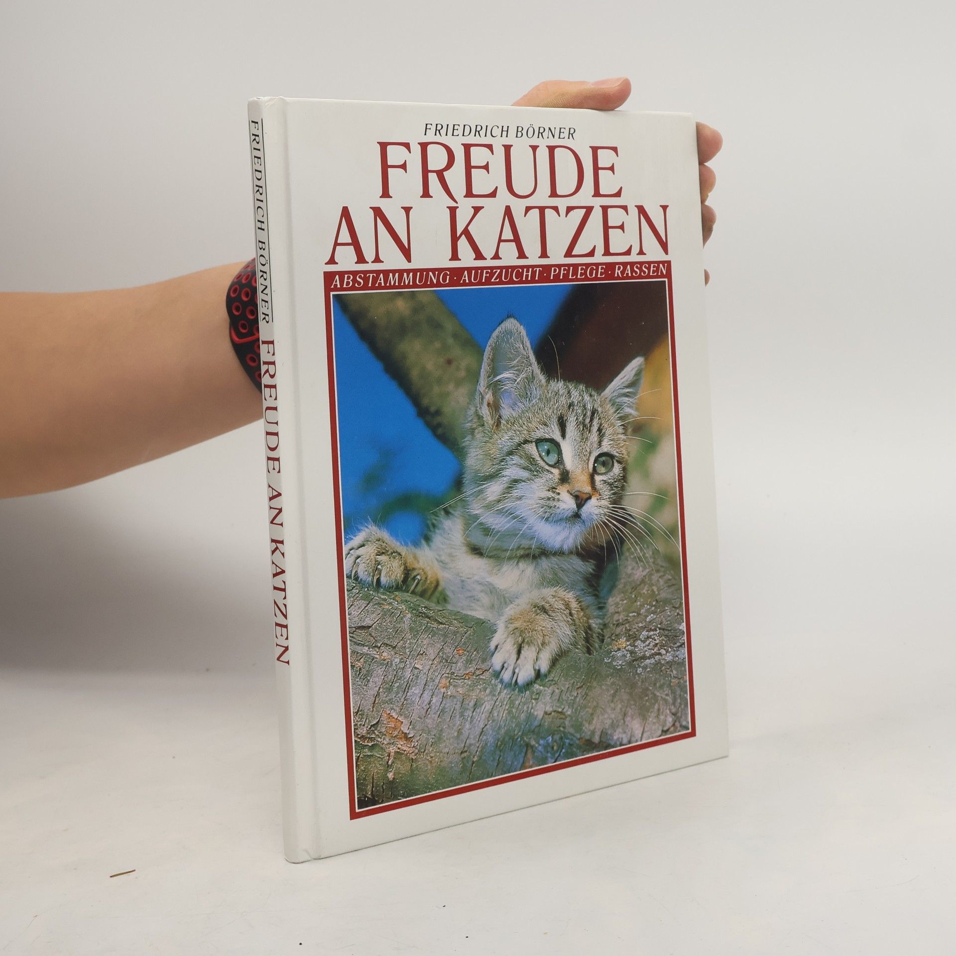 Friedrich Börner Freude an Katzen