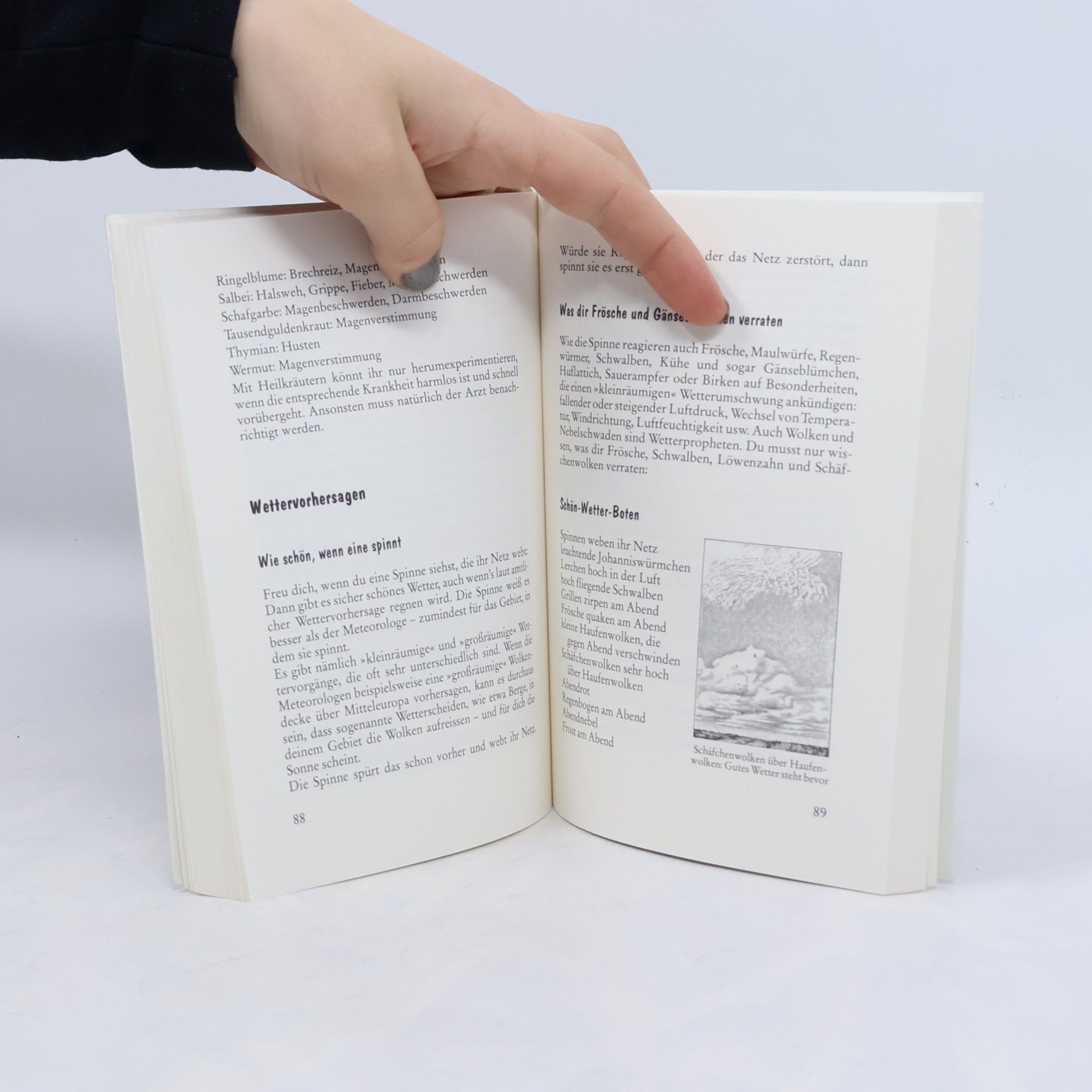 Walter Hansen Pfadfinder-Handbuch. Tipps, Tricks, Abenteuer