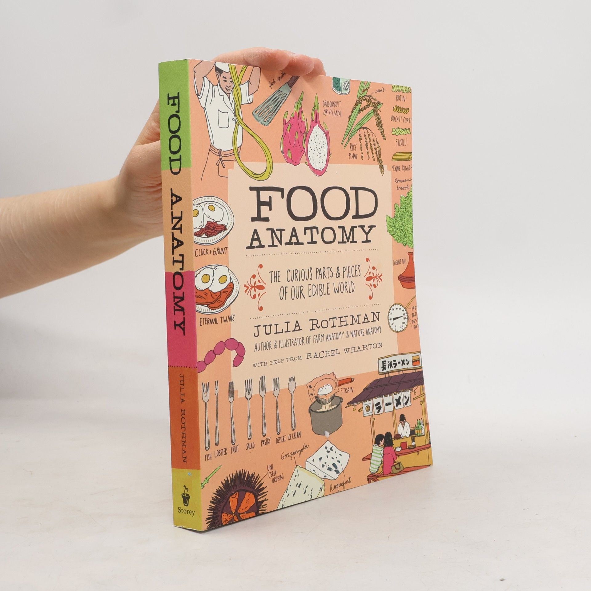 Food Anatomy