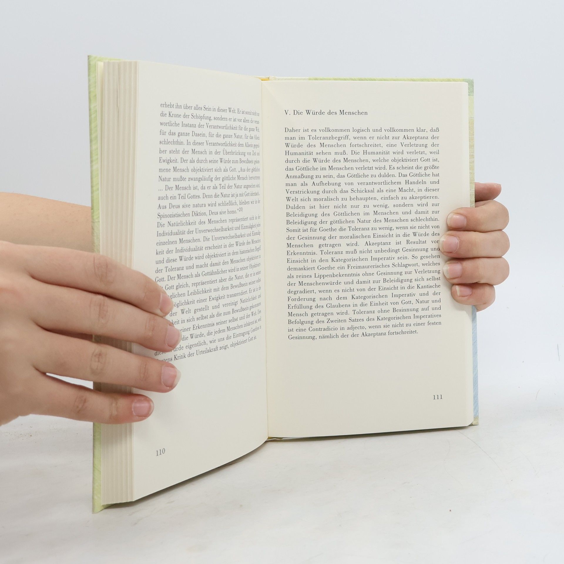 Rainer Bischof Literatur & Philosophie: Vom europäischen Geist