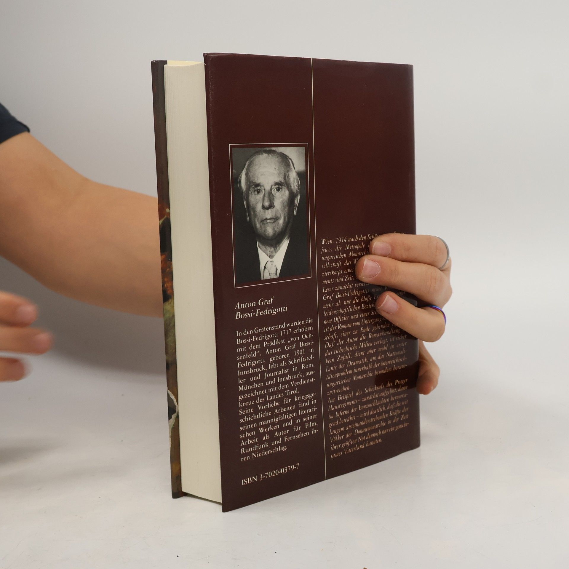 Antonio Bossi Fedrigotti Heimkehr in den Untergang