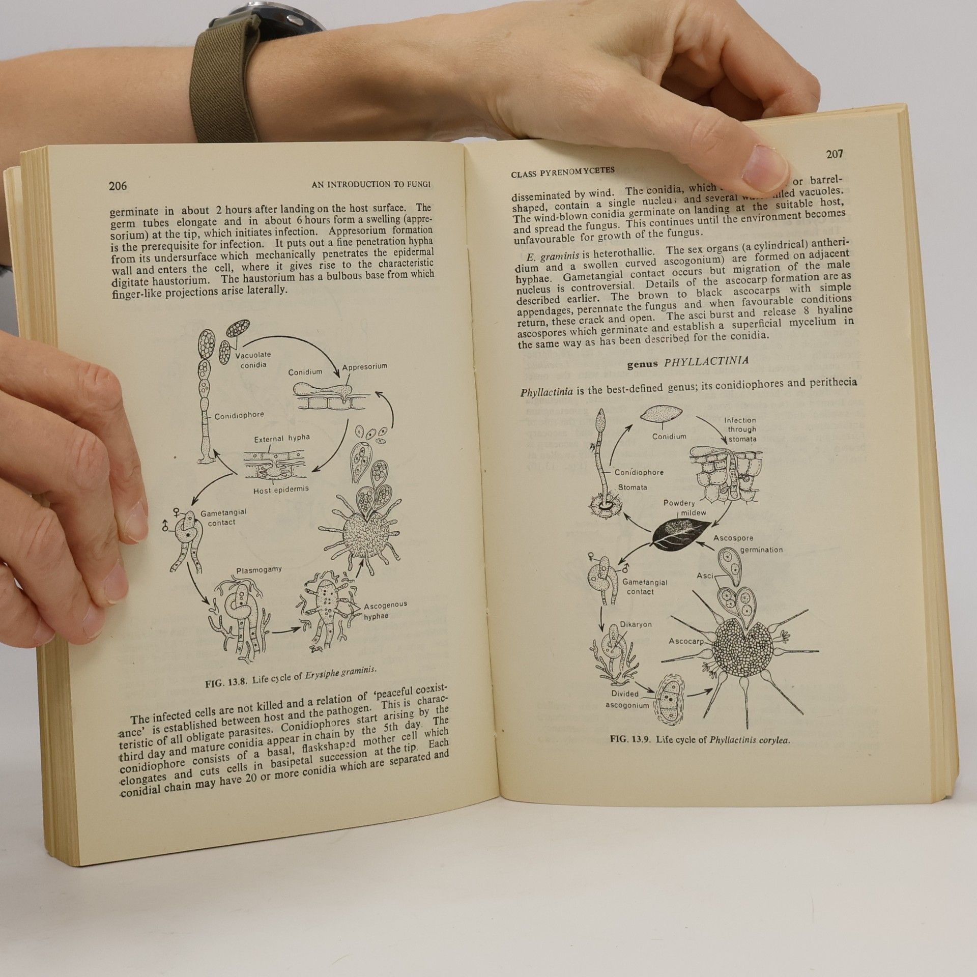 H. C. Dube An Introduction to Fungi