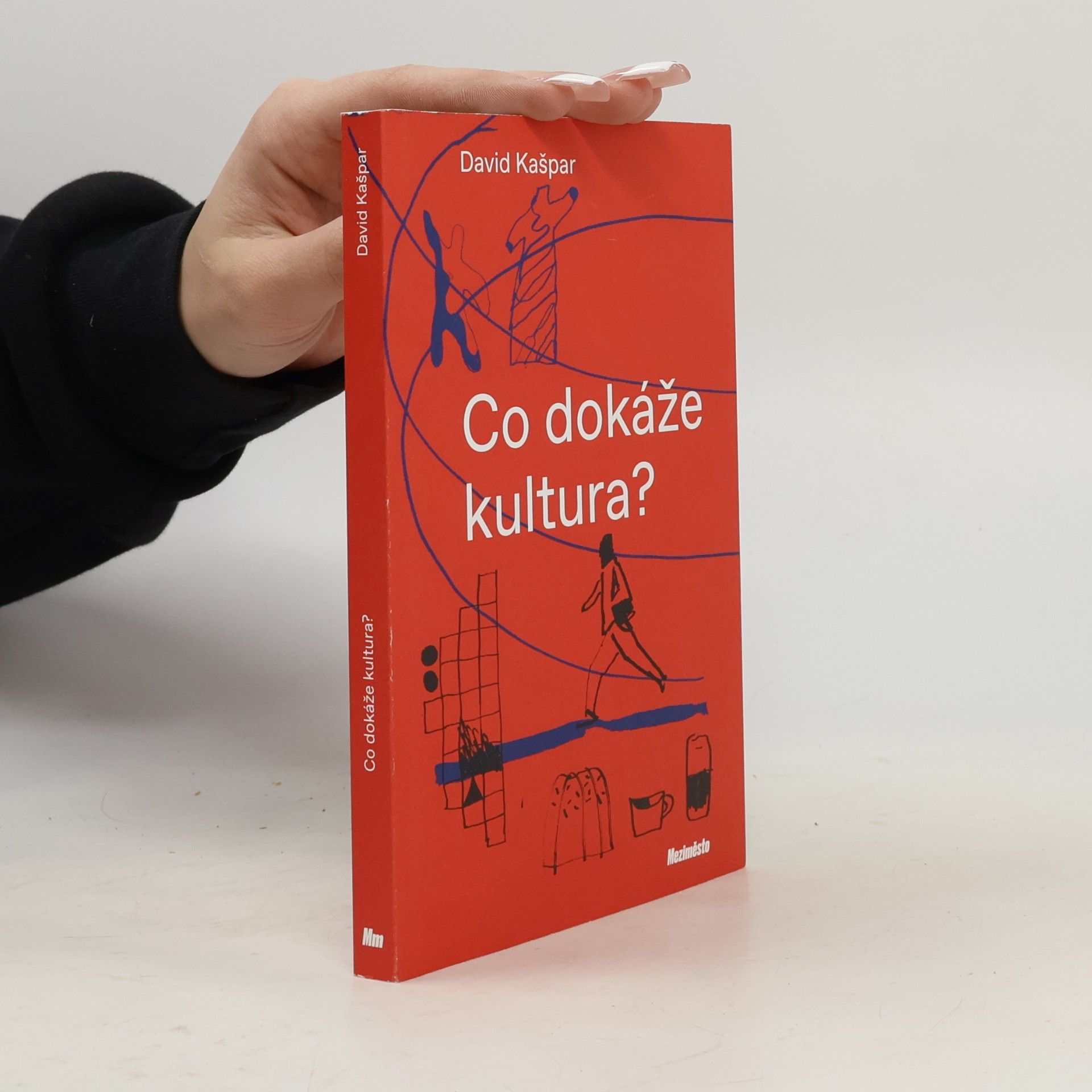 Co dokáže kultura?