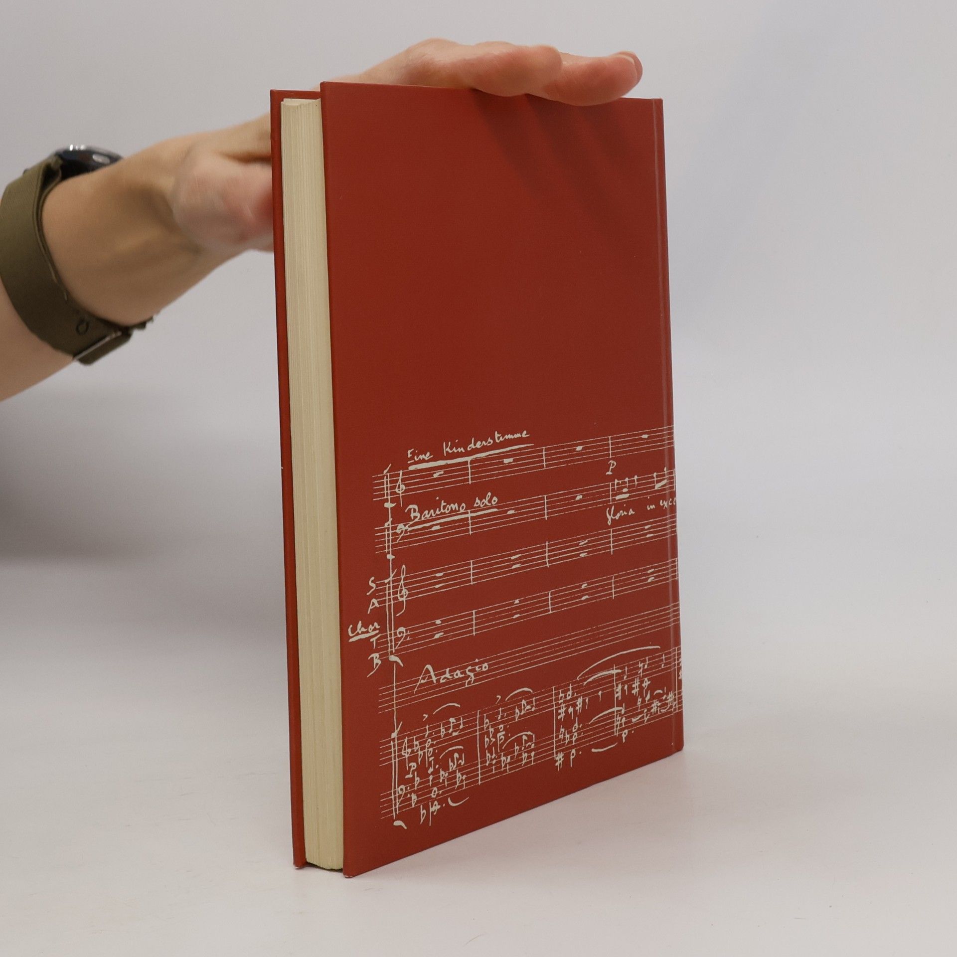 Autorenkollektiv Schweizer Singbuch Mittelstufe