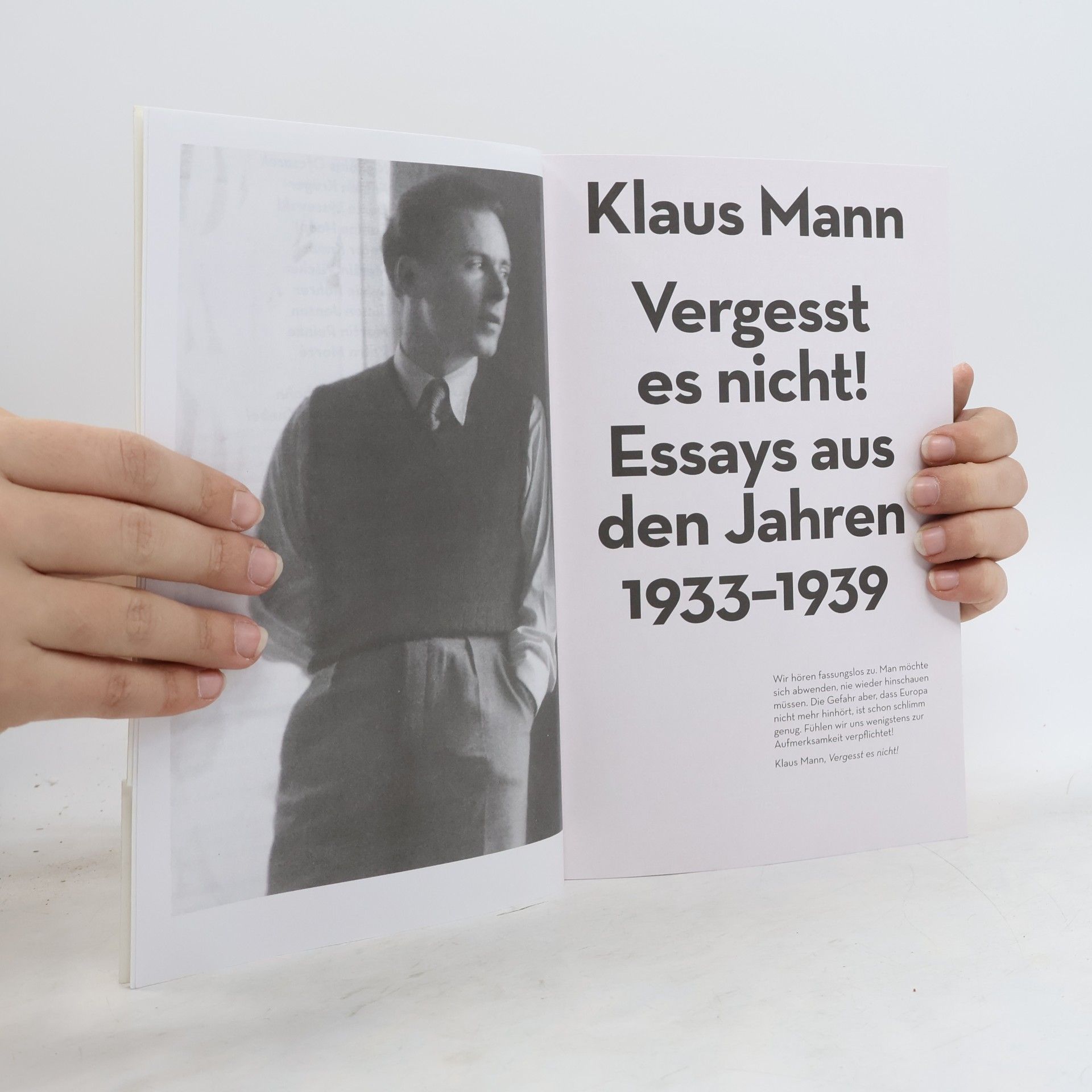 Klaus Mann Immer auf den Abgrund zu.