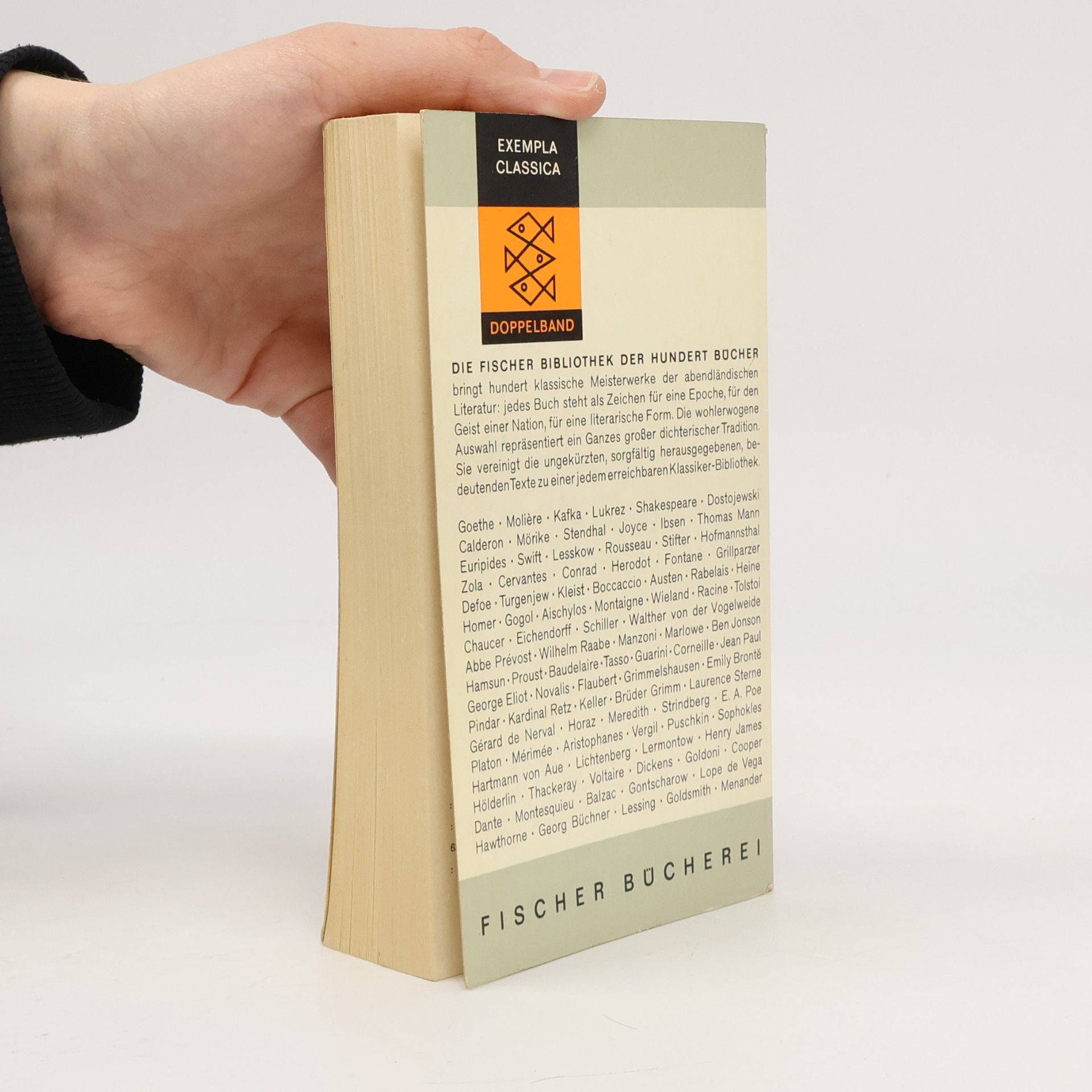 Johann Wolfgang von Goethe Goethe Gedichte 1