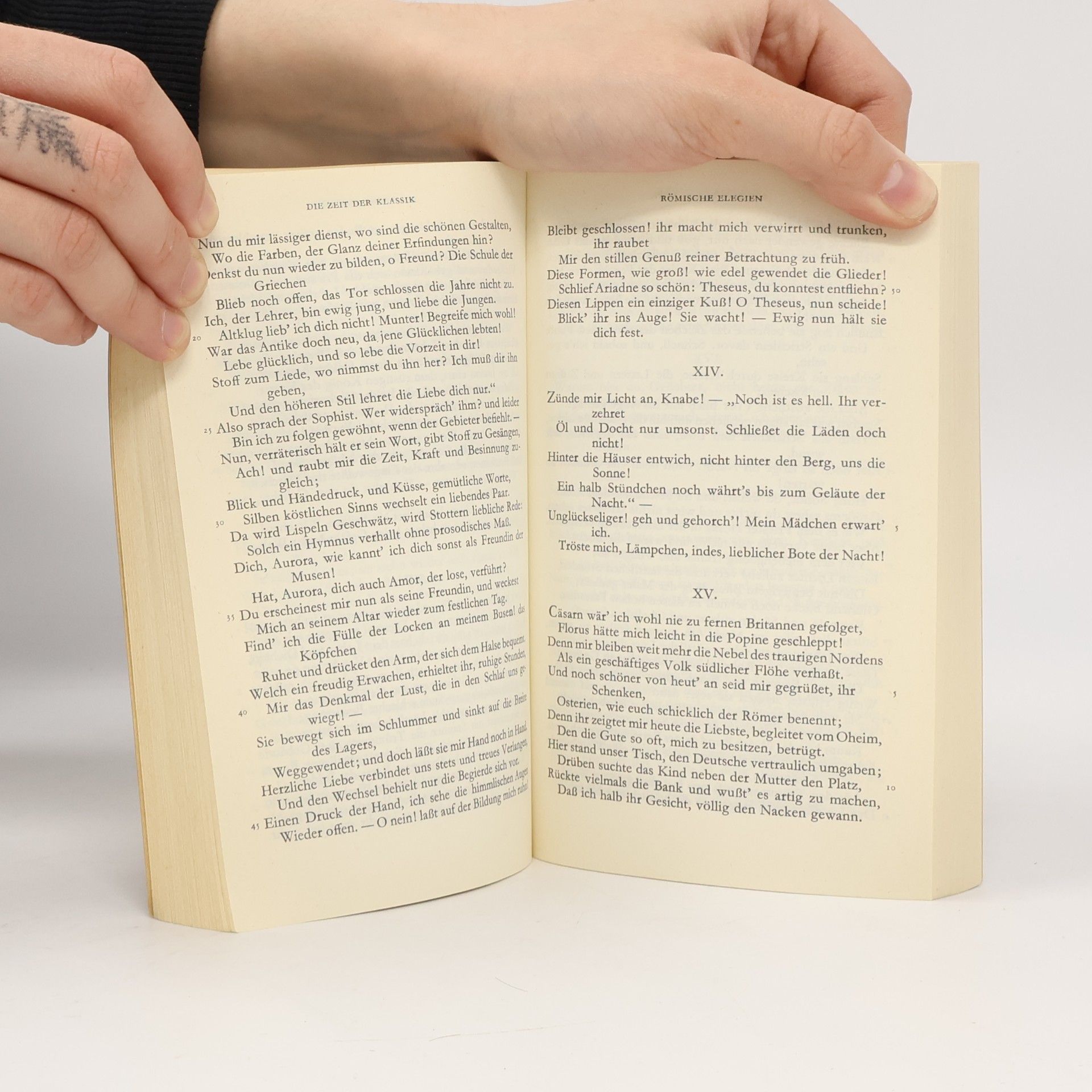 Johann Wolfgang von Goethe Goethe Gedichte 1