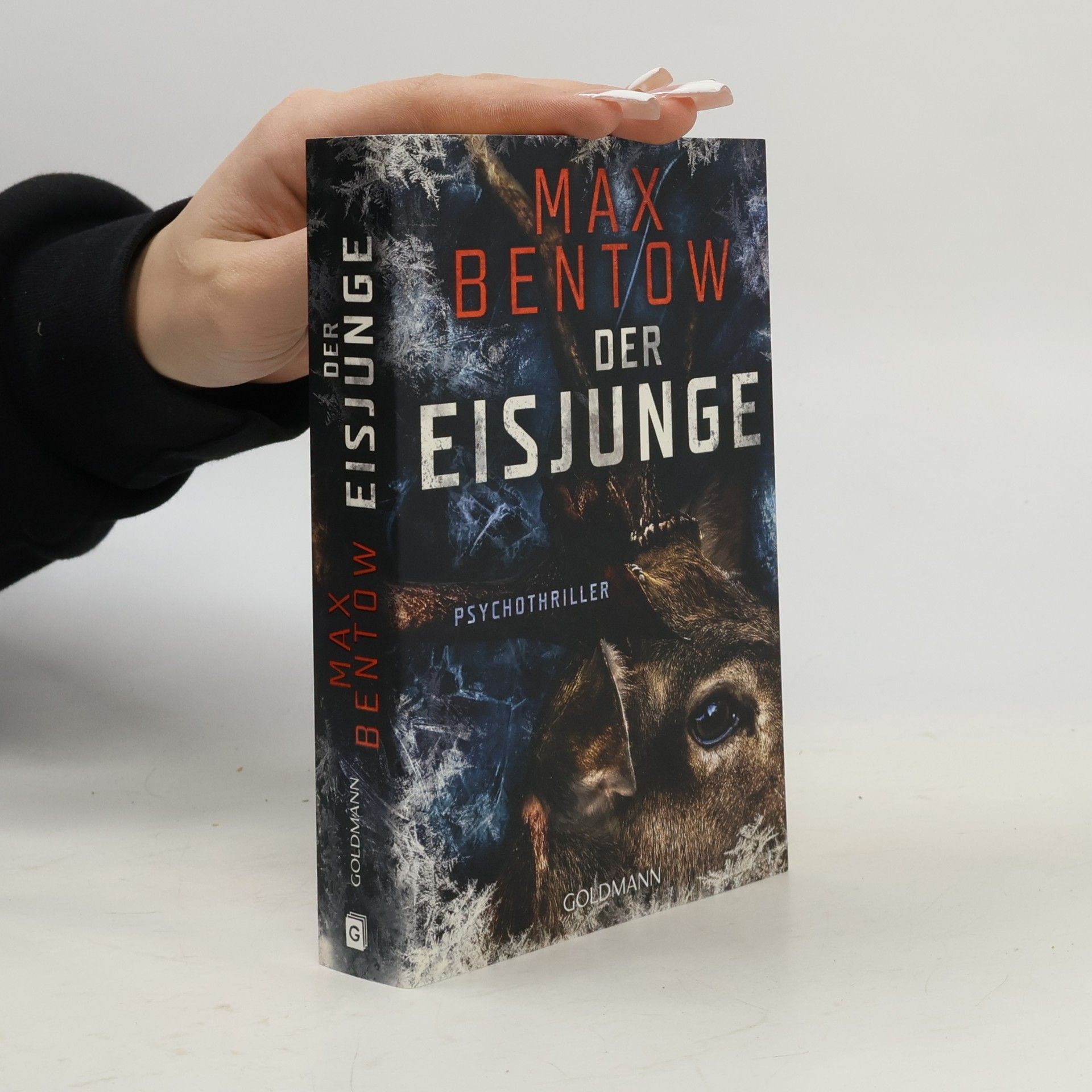 Der Eisjunge