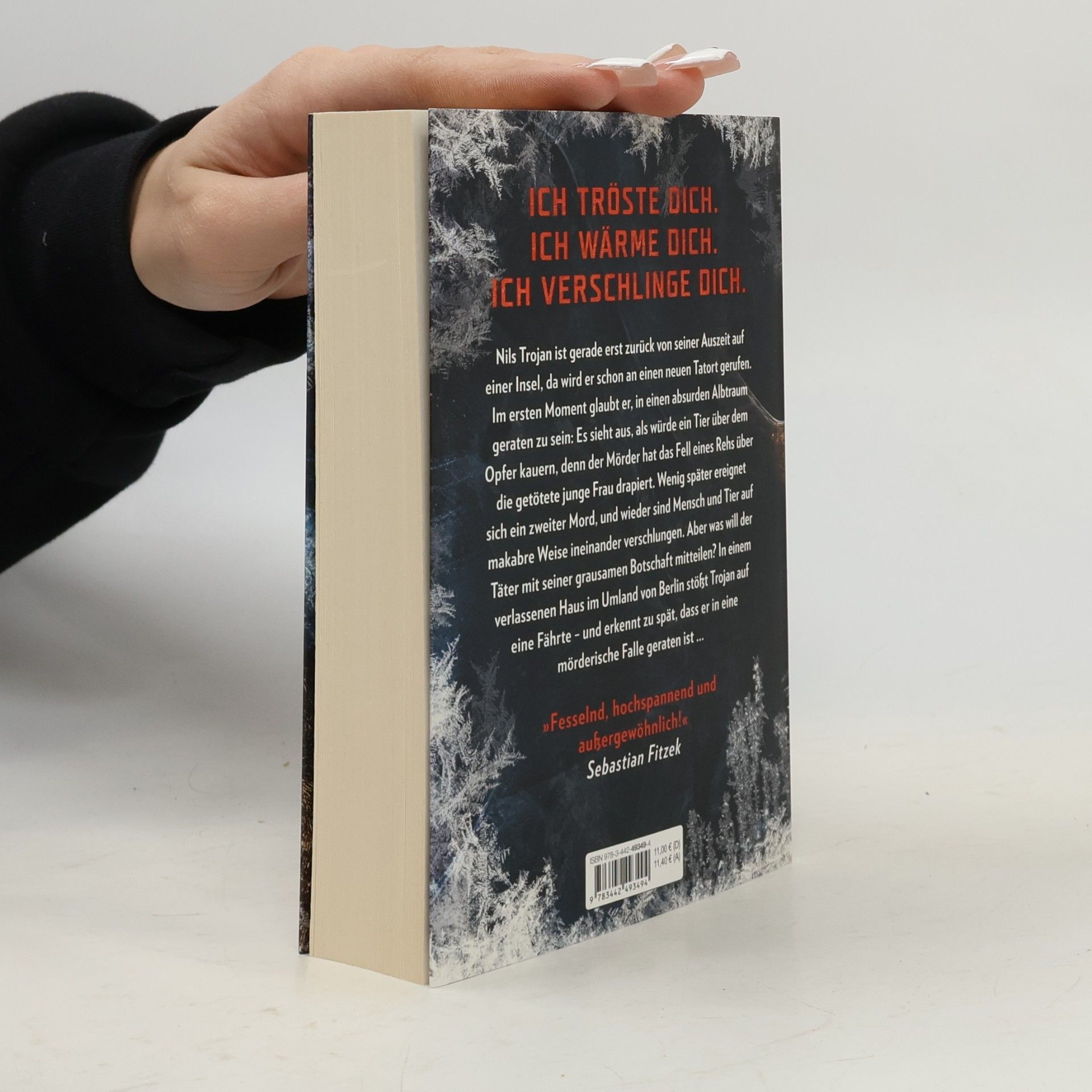 Max Bentow Der Eisjunge