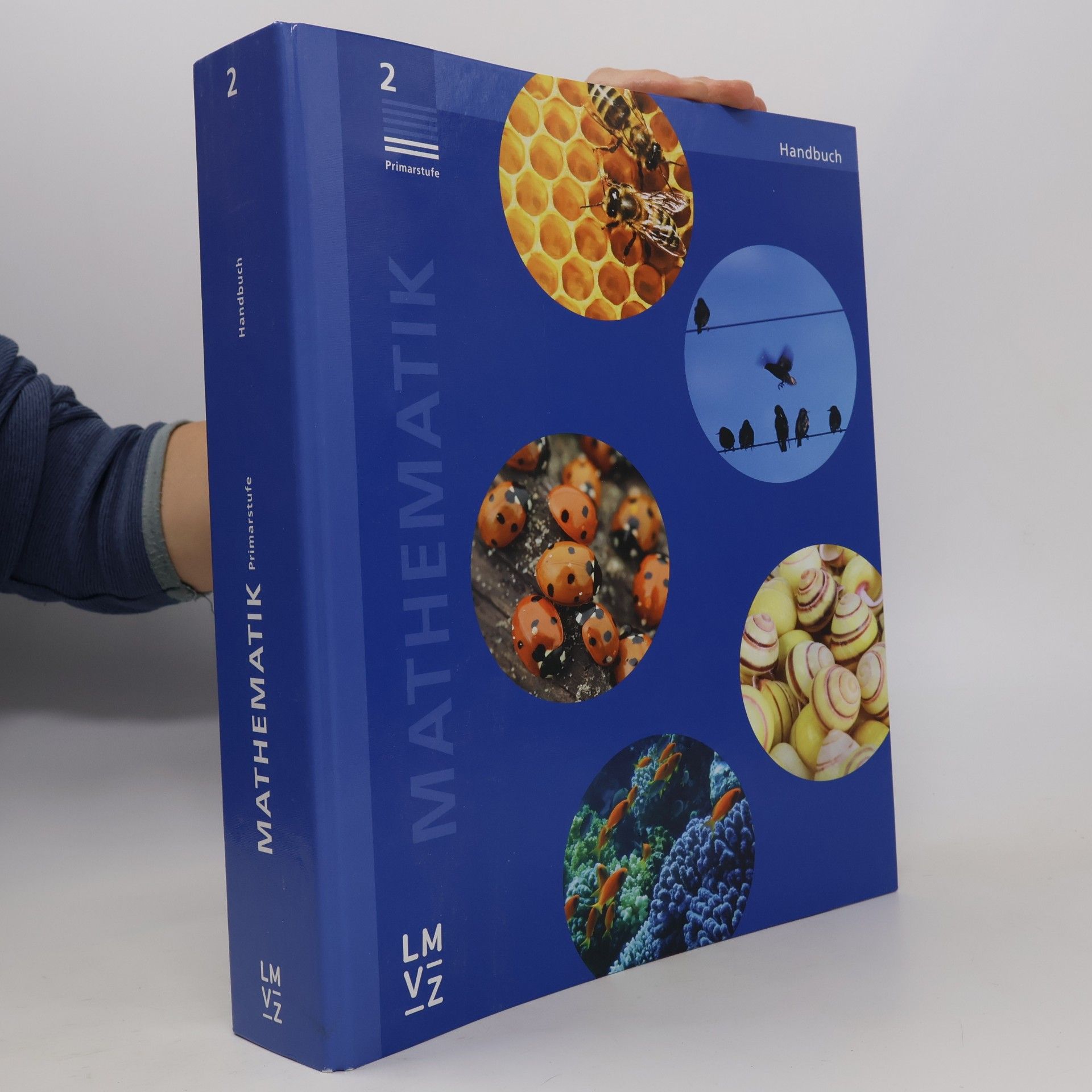 Mathematik 2 Primarstufe / Handbuch