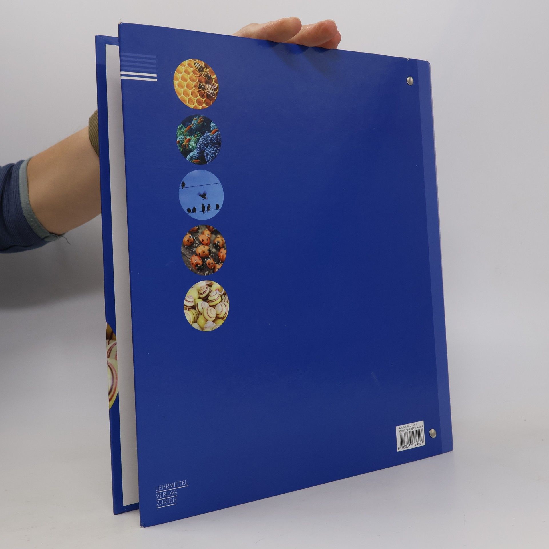 Autorenteam Mathematik 2 Primarstufe / Handbuch