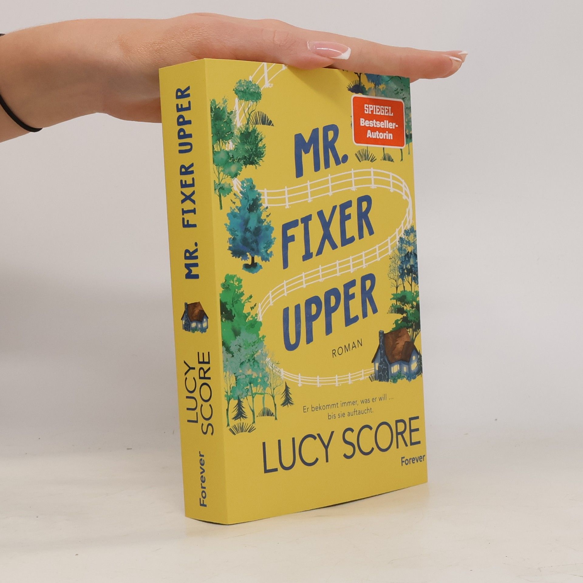 Mr. Fixer Upper