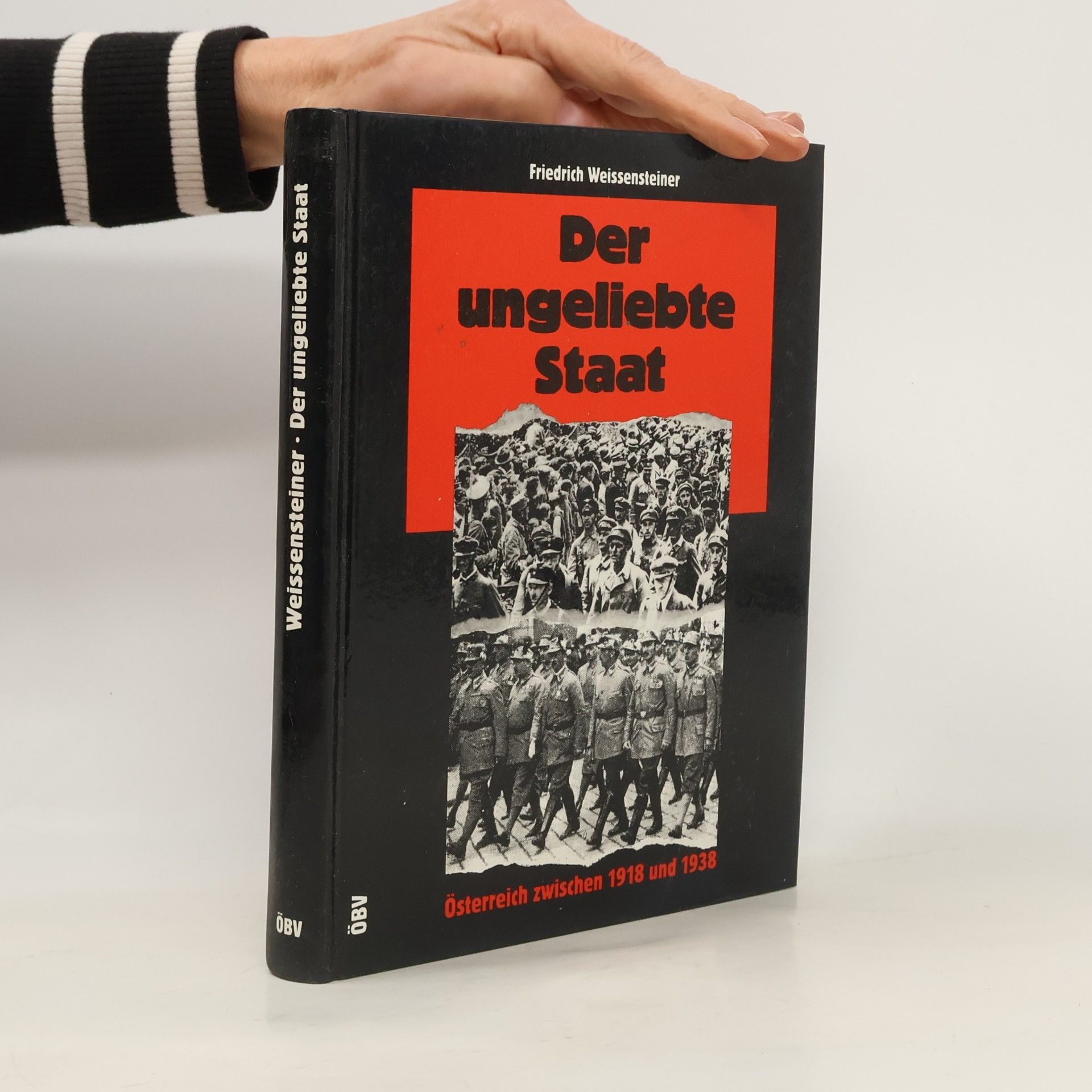 Der ungeliebte Staat