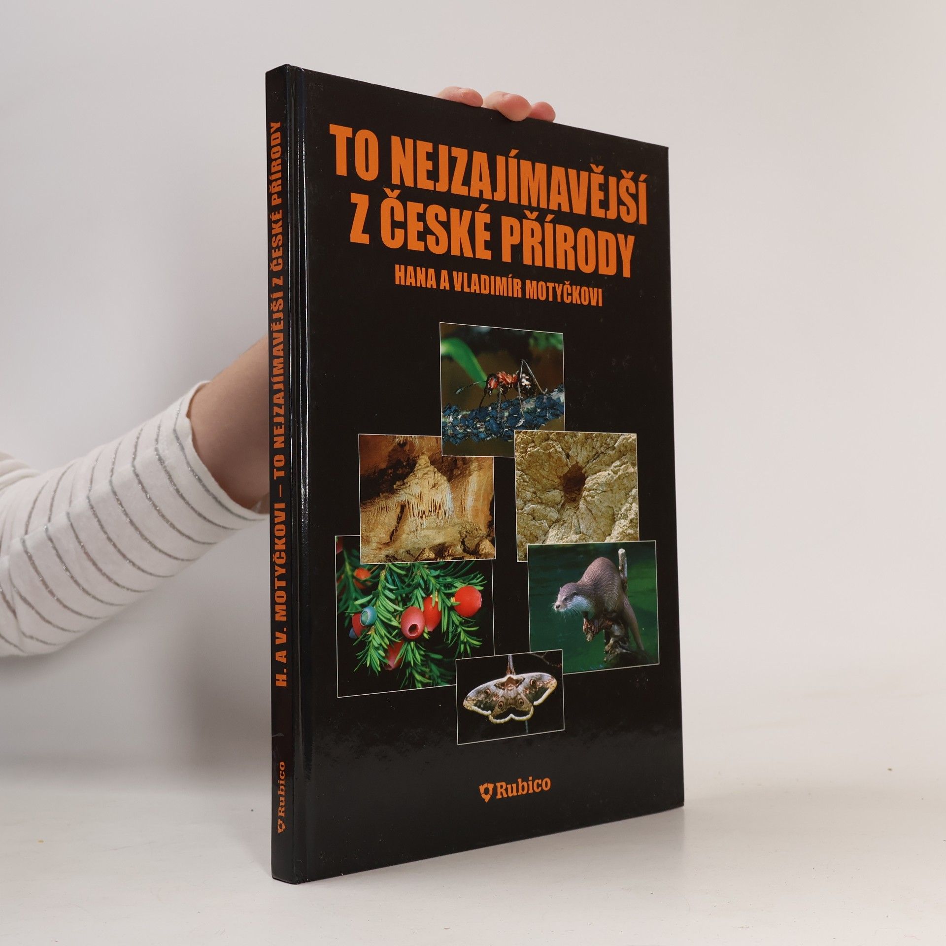 To nejzajímavější z české přírody