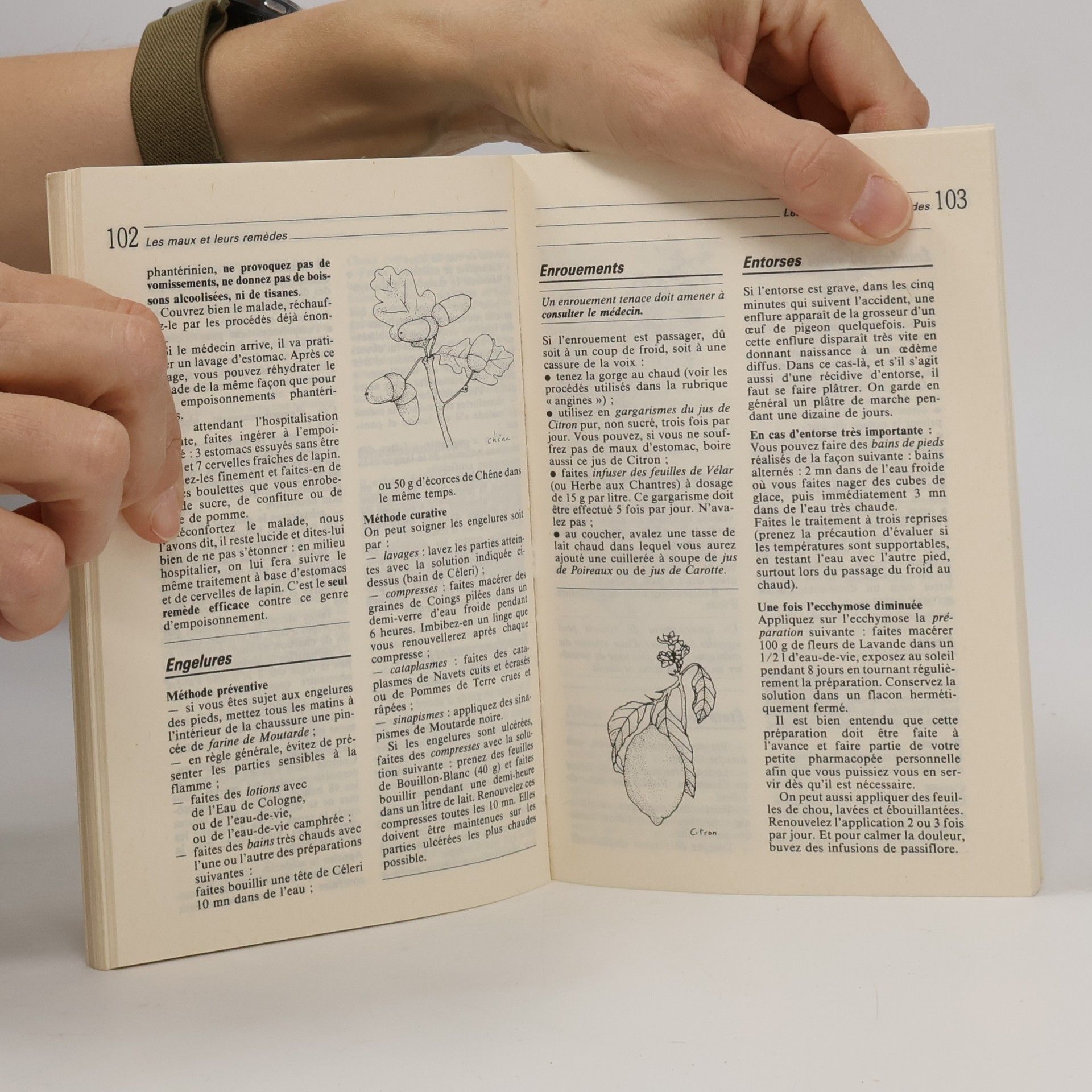 Georges Millanvoye Mini-encyclopédie des médecines naturelles