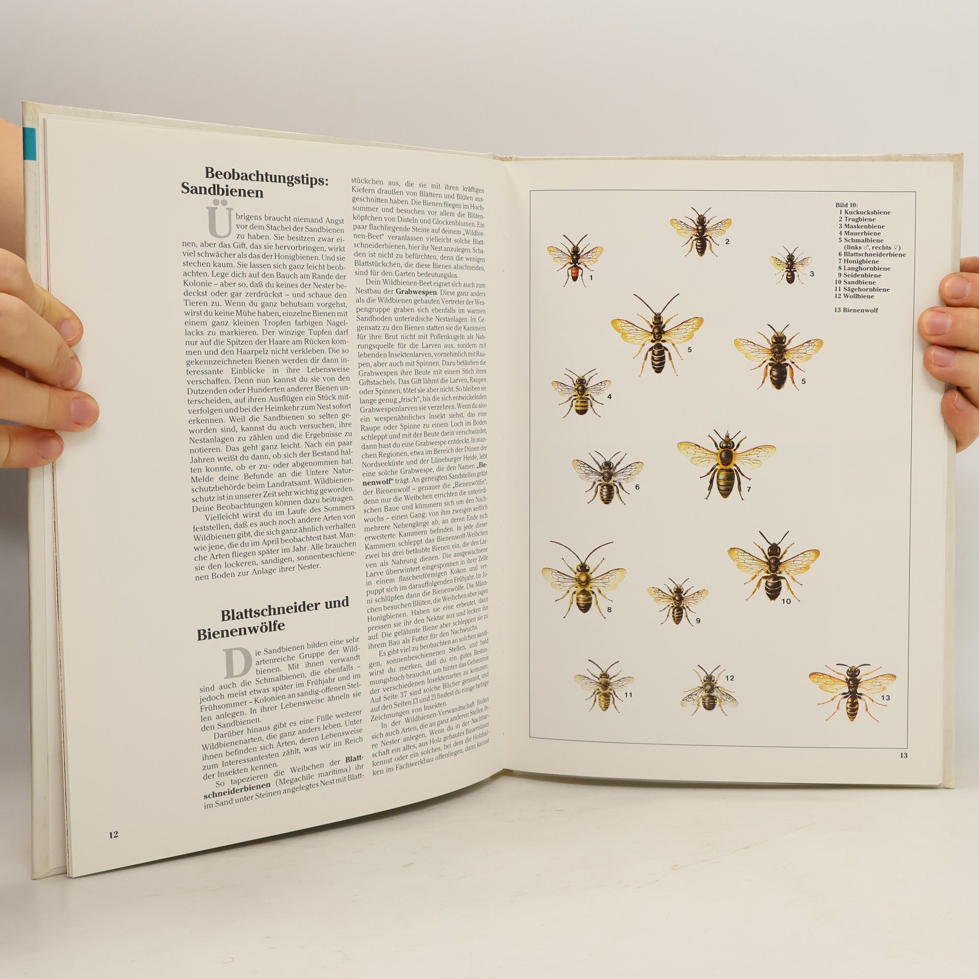 Josef Reichholf Wir tun was... für Insekten