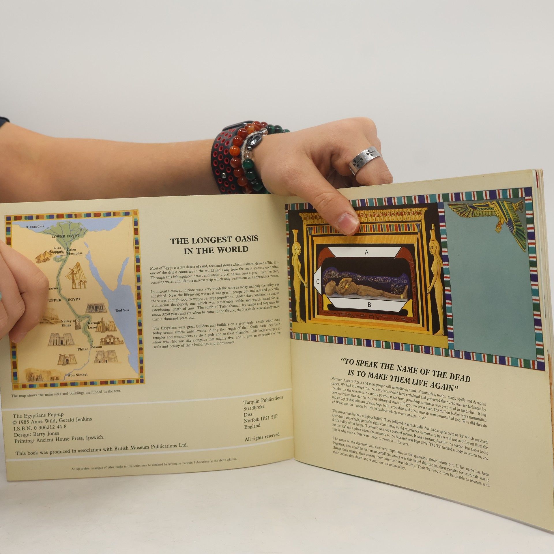 Anne Wild The Egyptian Pop-Up
