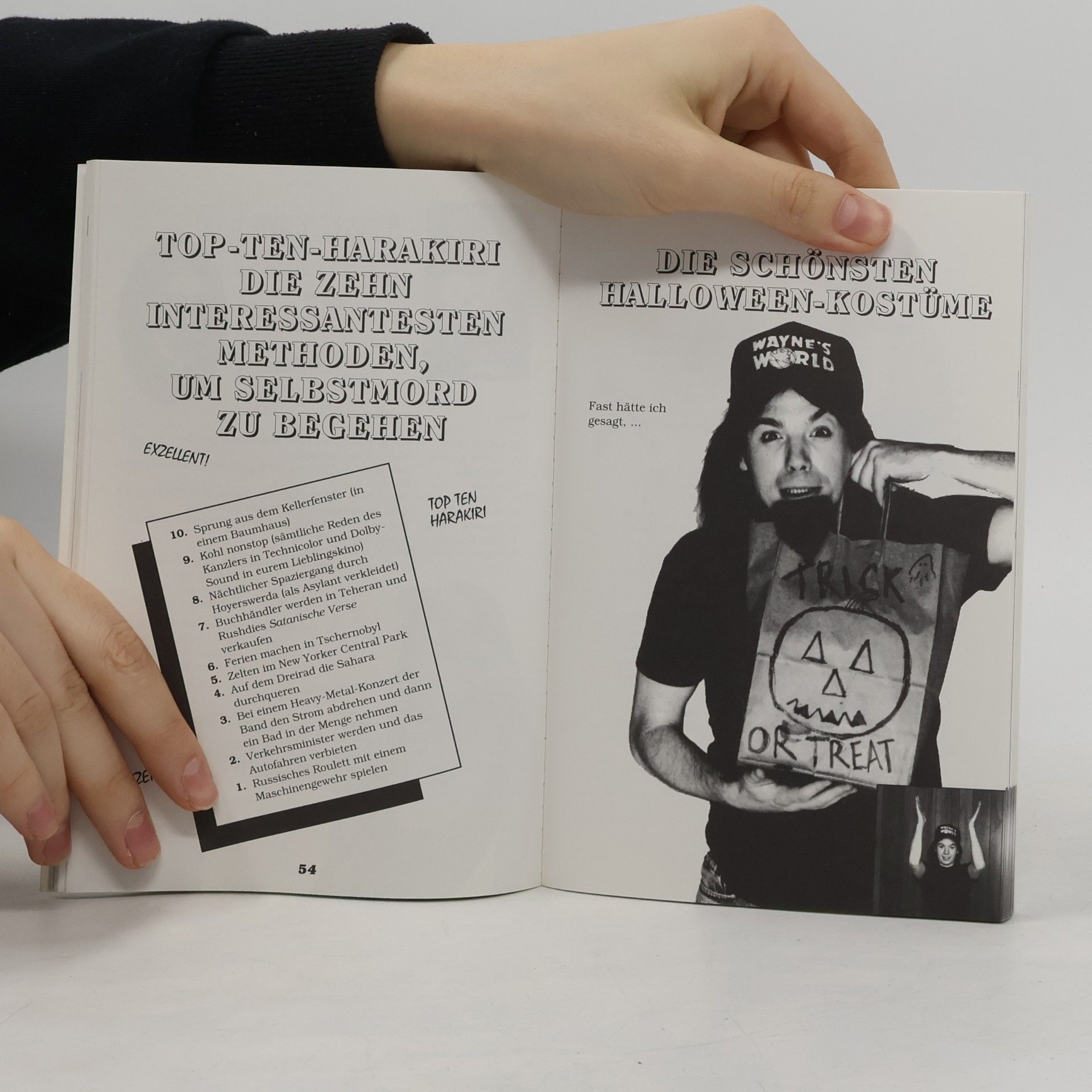 Mike Myers Wayne's World. Ganz nah. Das Buch zum Film.