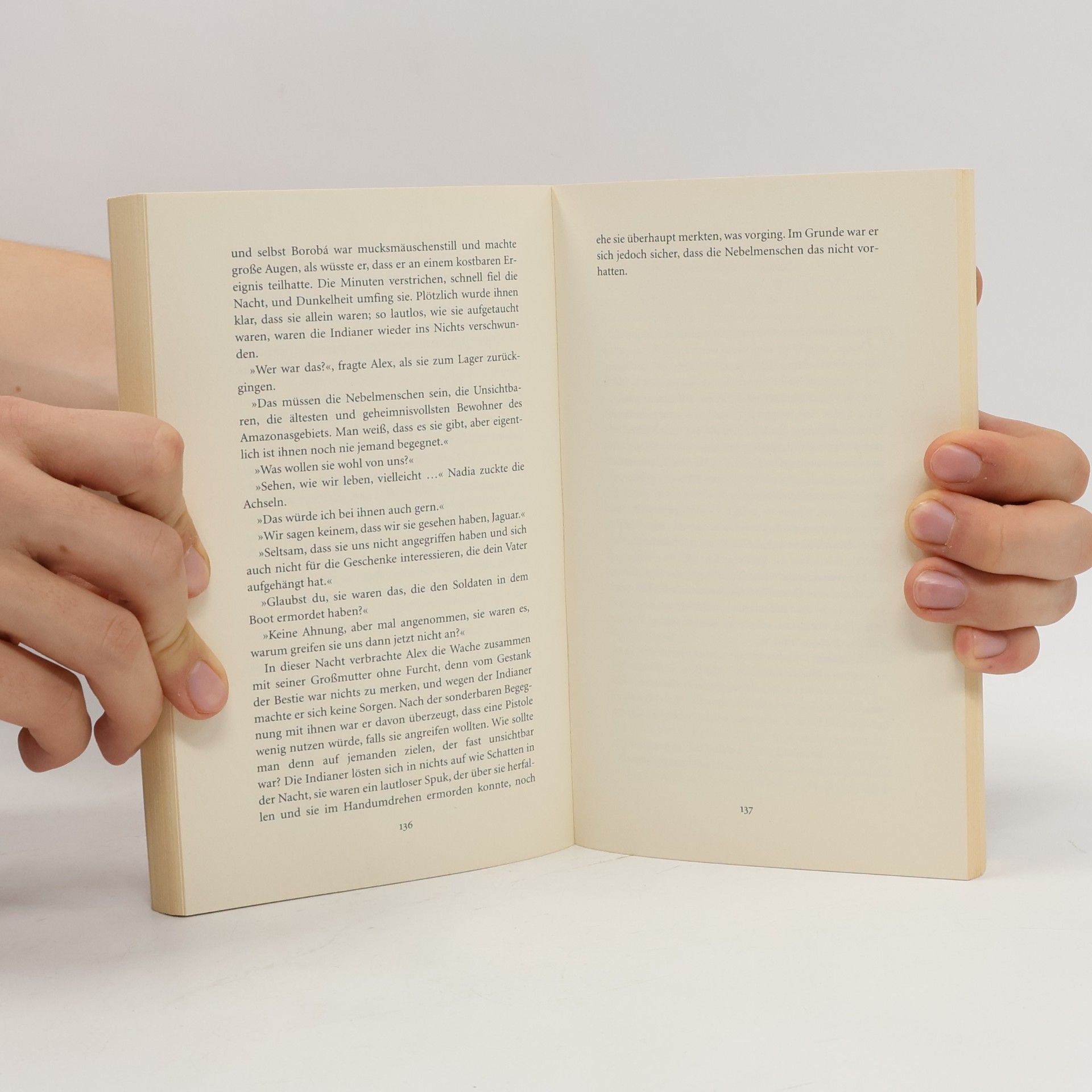 Isabel Allende Die Stadt der wilden Götter