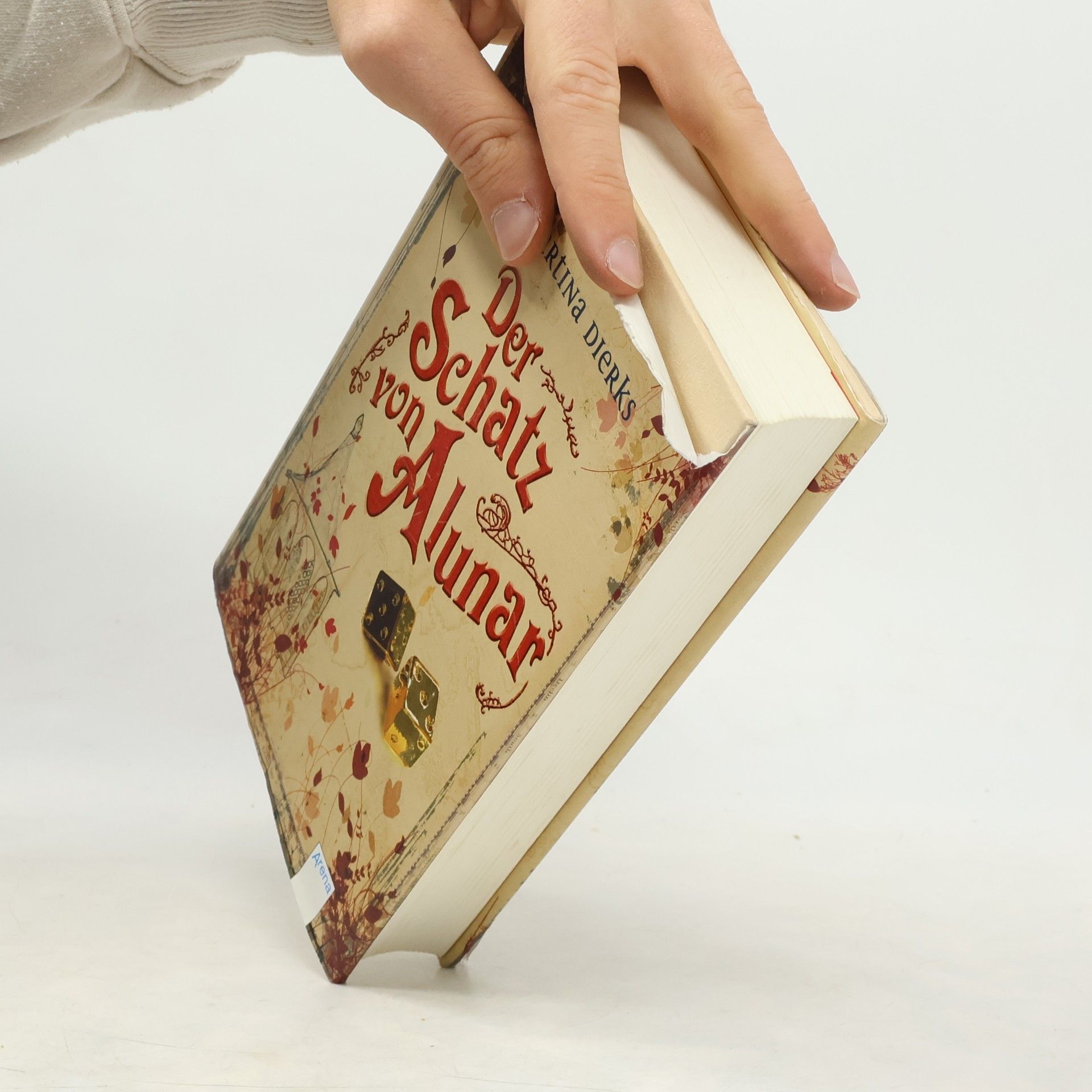 Martina Dierks Der Schatz von Alunar