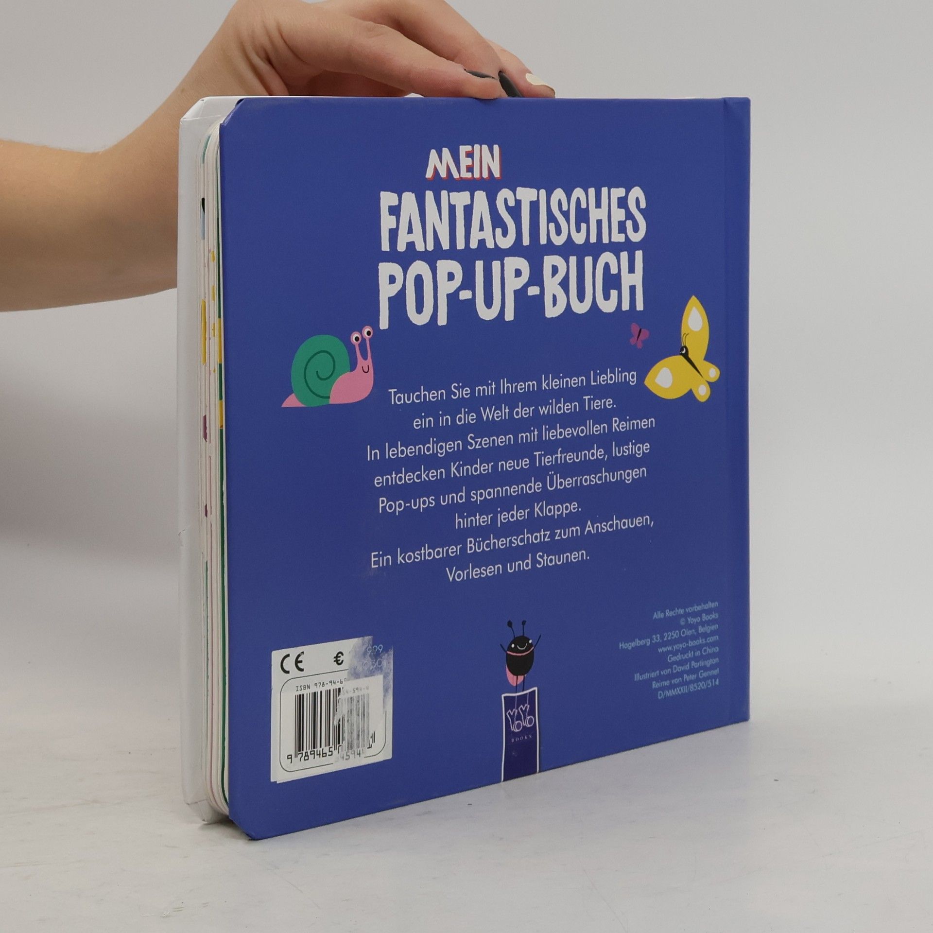 David Partington Mein fantastisches Pop-Up-Buch - Tierfreunde