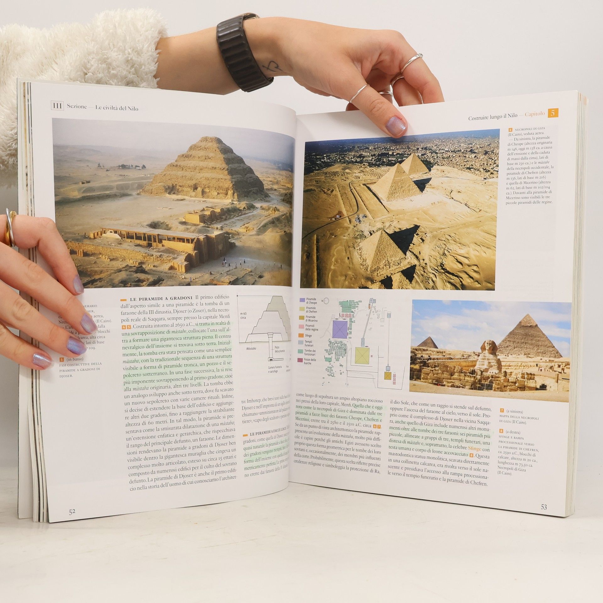 Salvatore Settis Arte. Una storia naturale e civile