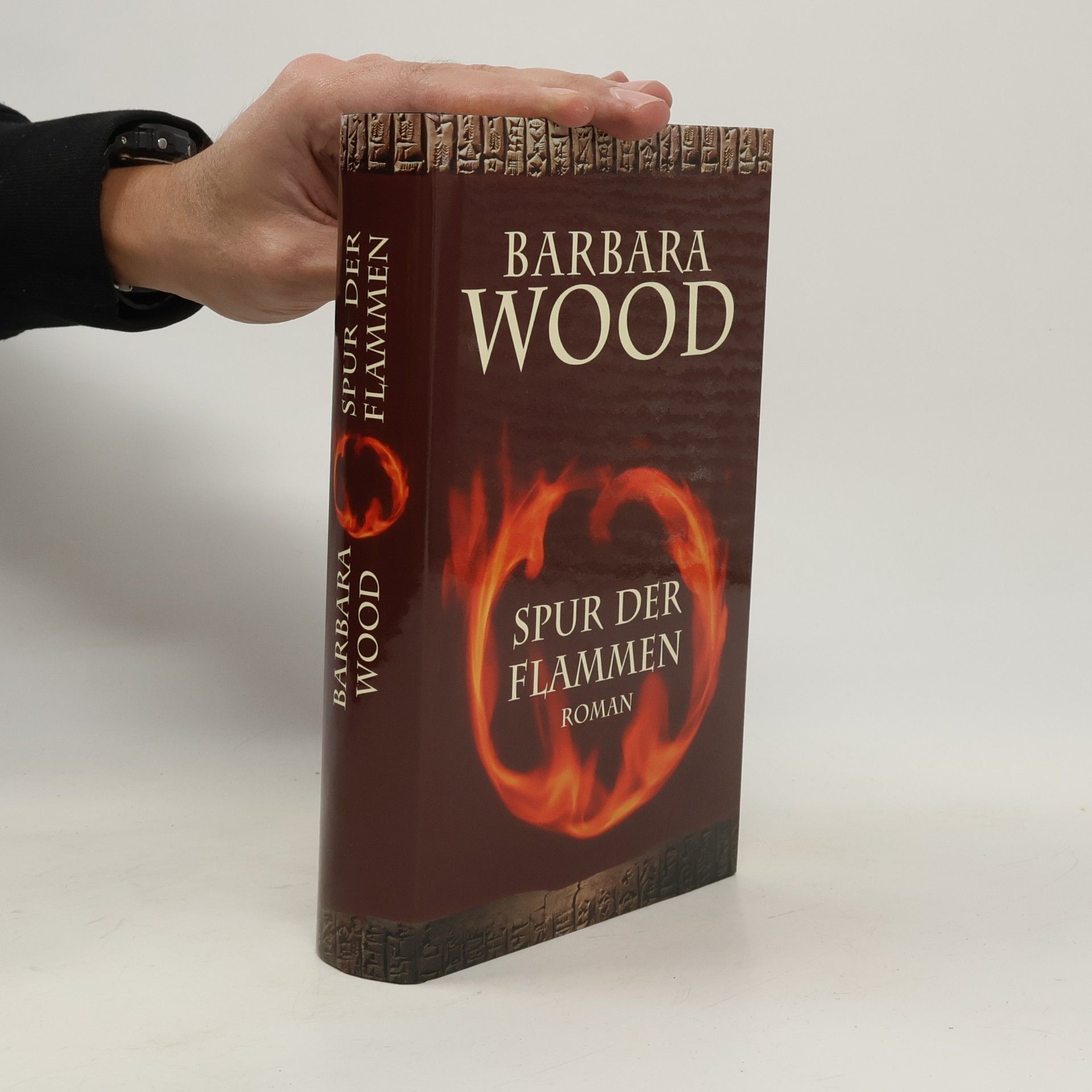Barbara Wood Spur der Flammen