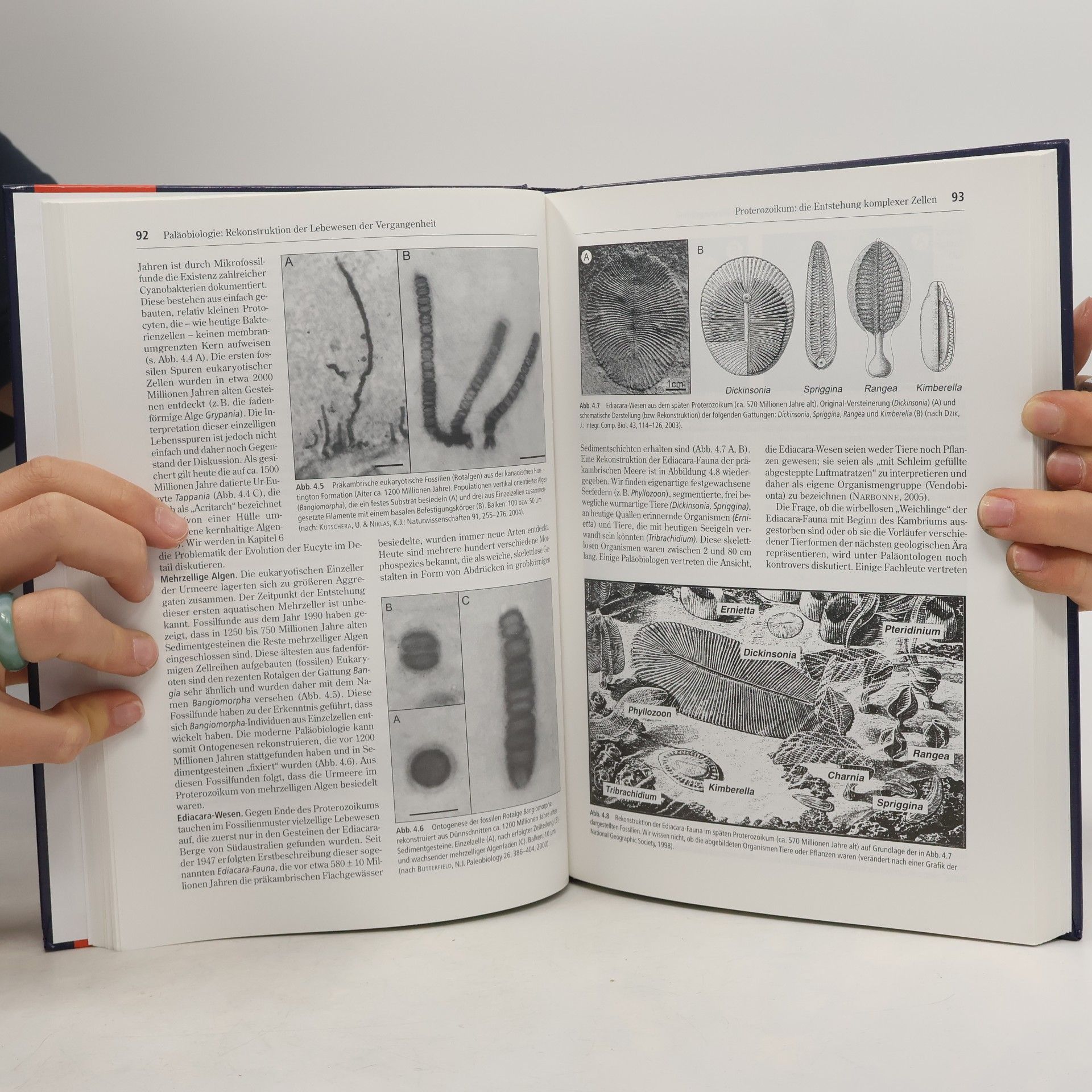Ulrich Kutschera Evolutionsbiologie