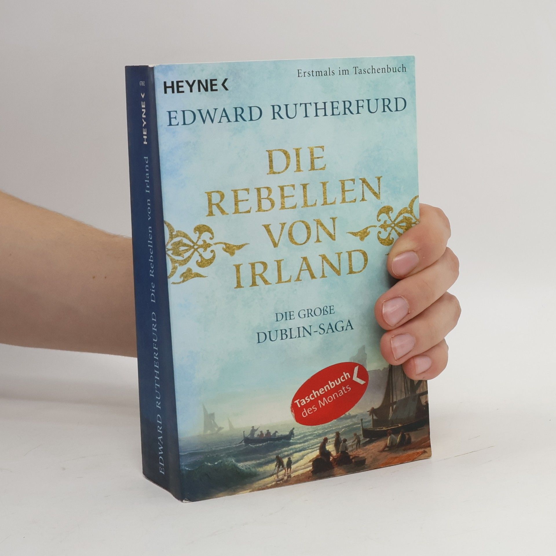 Die Rebellen von Irland