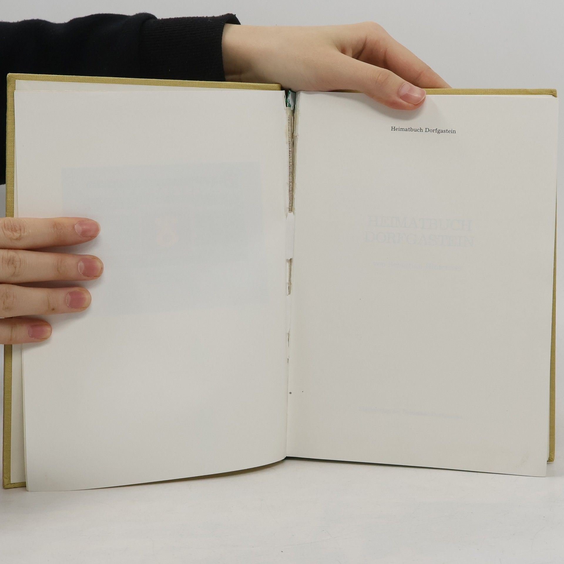 Sebastian Hinterseer Heimatbuch Dorfgastein