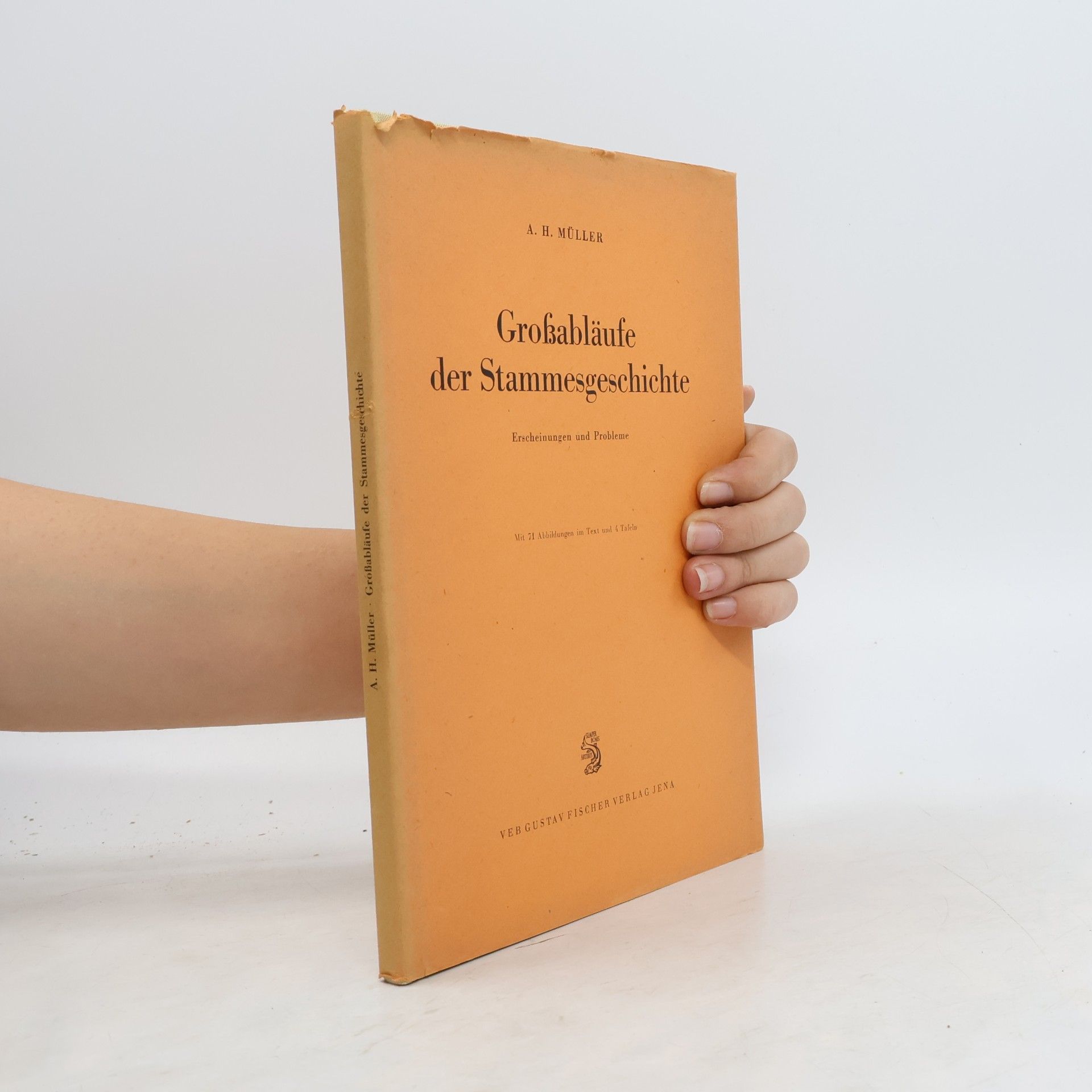 Arno Hermann Müller Großabläufe der Stammesgeschichte